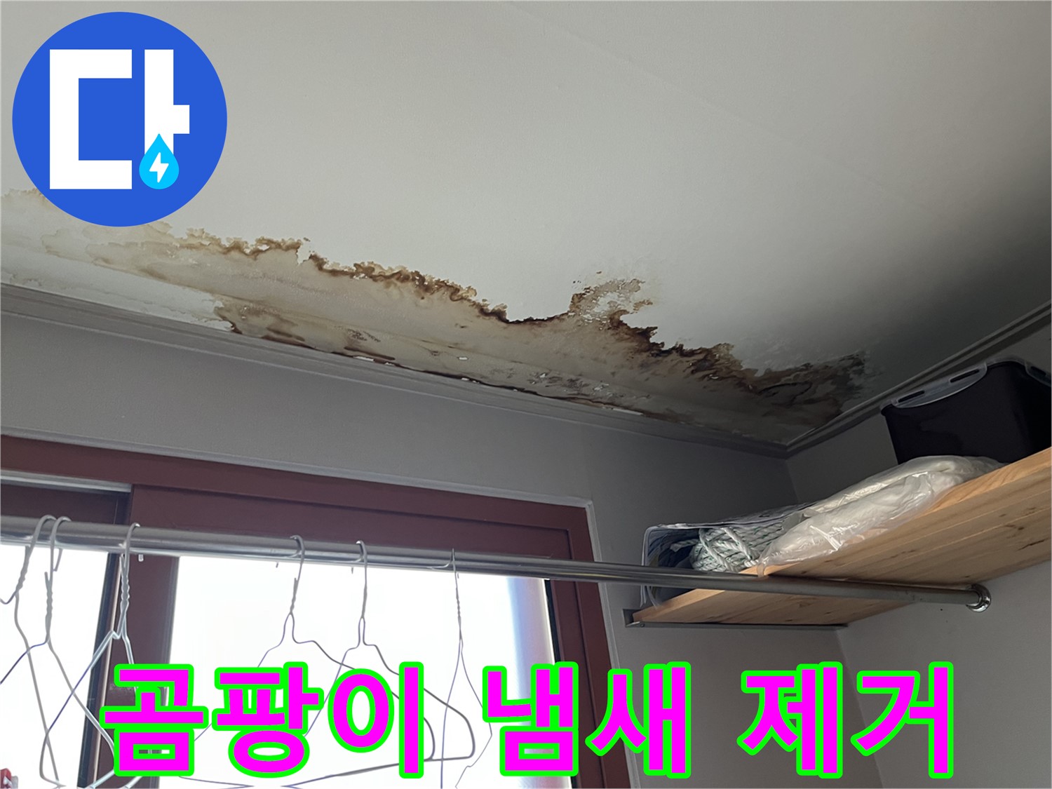 의정부 가능동 빌라 천장 누수 - 곰팡이 냄새 원인 제거로 쾌적한 환경!