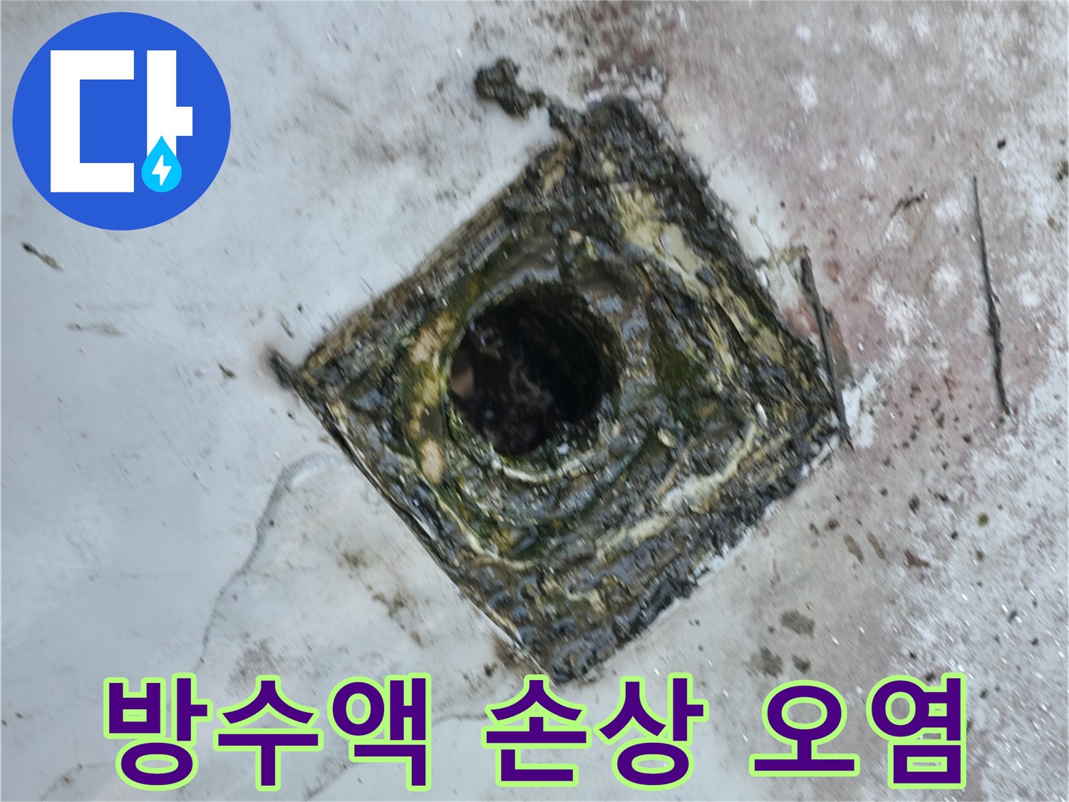 금천구 옥상 드레인 주변 방수액 손상 - 이물질 쌓임 - 누수 발생