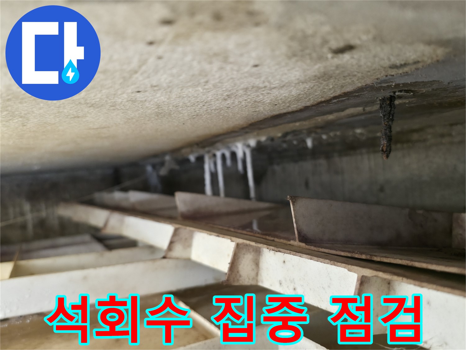독산동 현진아트빌 천장 누수 - 석회수 발생 지점을 중심으로 누수 원인을 집중적으로 점검하고 있습니다.