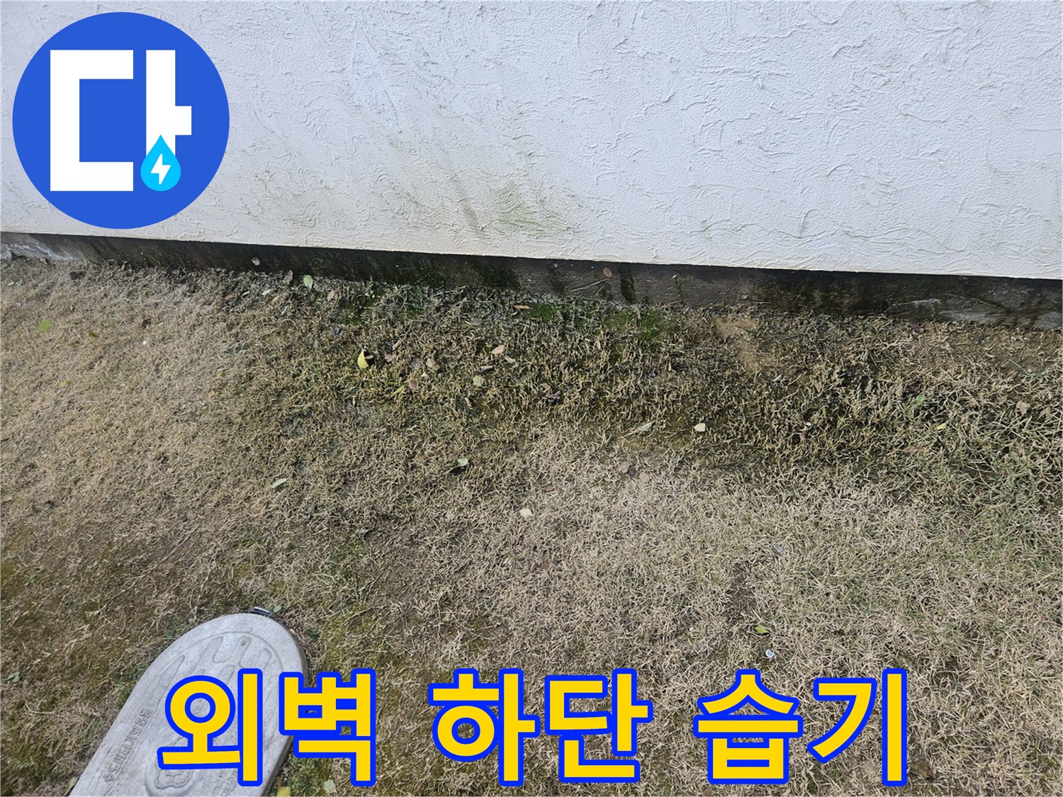이천 마장면 누수 - 공장 건물 외벽 하단 습기 문제 발생