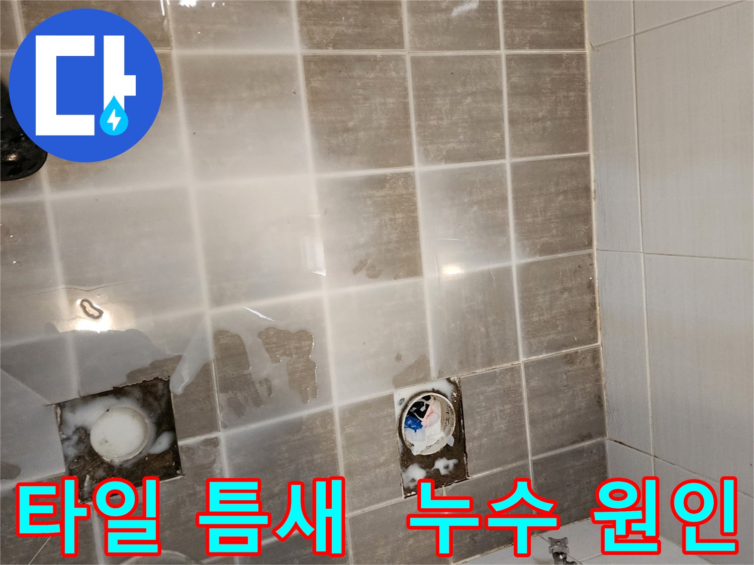 타일 틈새 누수 - 원인 파악을 위해 문제 타일을 제거했습니다.