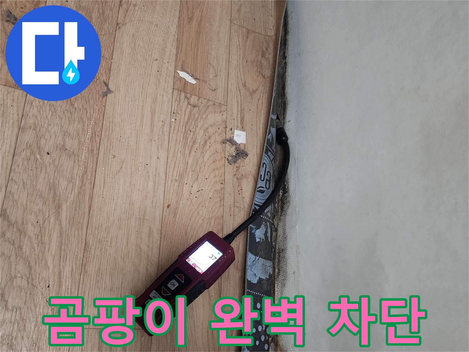 수원 누수탐지 전문가 - 벽 곰팡이 누수 완벽 차단 및 쾌적 공간 조성