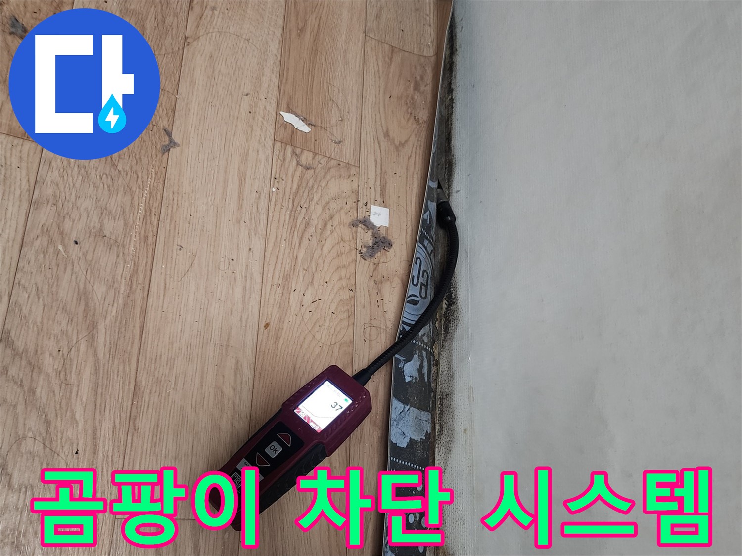 수원 장안구 누수탐지 - 곰팡이, 누수, 습도 정밀 측정 후 곰팡이 완벽 차단 시스템 구축