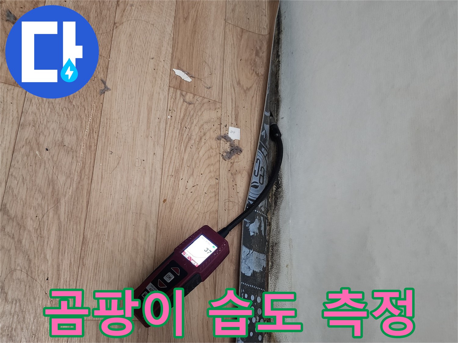 수원 정자동 누수탐지 - 곰팡이, 누수, 습도 측정 과정 상세 공개