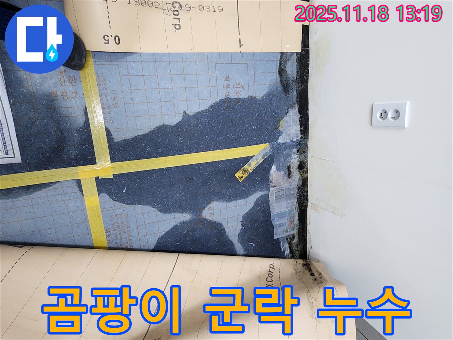 내촌면 진목리 누수, 장판 밑 곰팡이 군락지 발견! - 건강에 매우 해롭습니다.