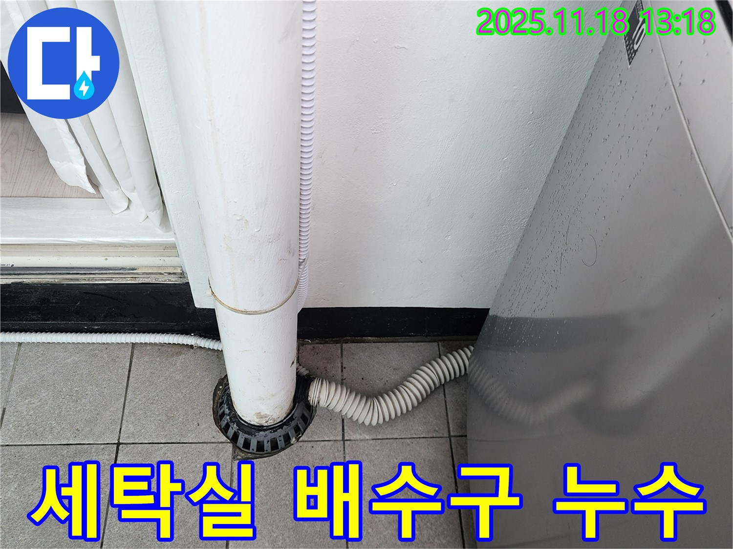 세탁실 배수구 주변 누수 - 노후된 배관 연결 부위에서 물이 새고 있는 모습입니다.