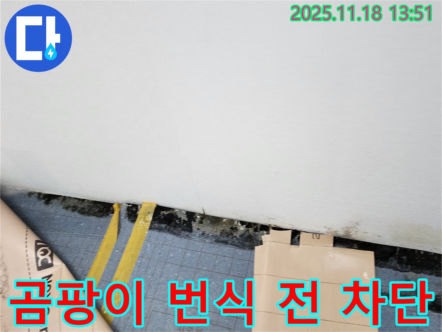 포천시 진목리 누수 현장 - 곰팡이 번식 전에 누수를 차단하여 쾌적한 실내 환경을 유지하세요.