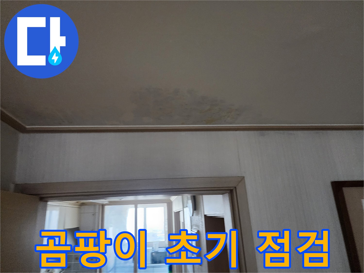 광명 철산동 두산위브 아파트 천장 누수 및 곰팡이 초기 점검 - 누수 전문가가 누수와 곰팡이 상태를 확인합니다.