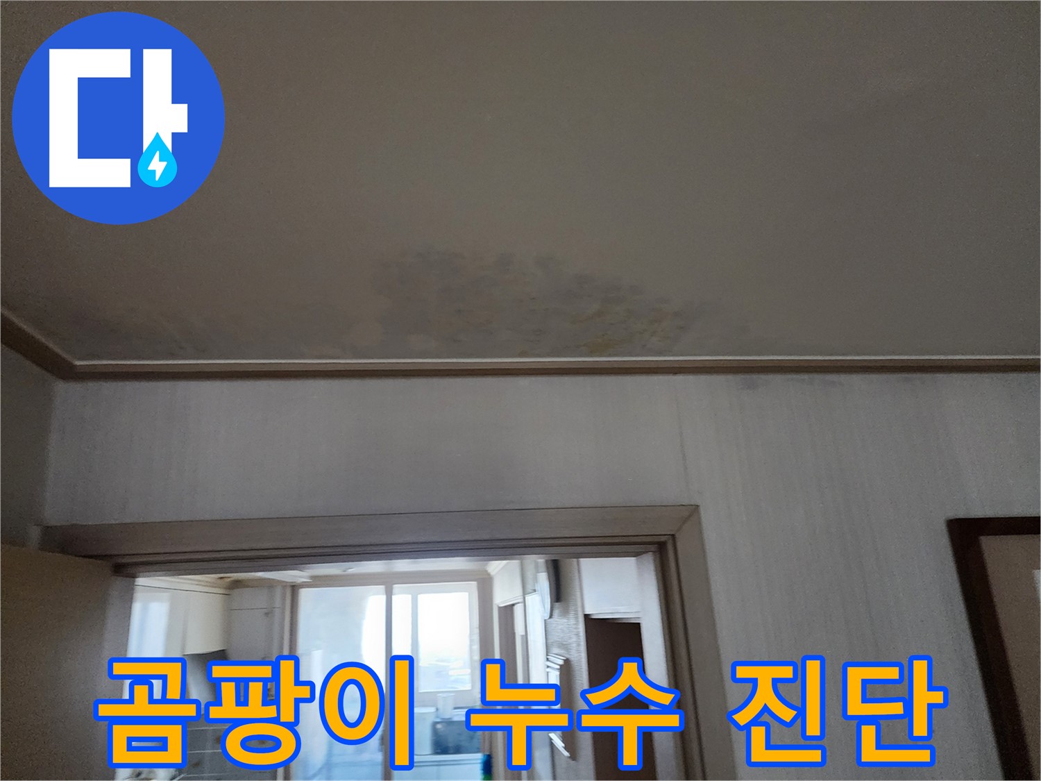 철산동 두산위브 아파트 천장 누수 및 곰팡이 진단 - 누수 전문가가 누수와 곰팡이 상태를 진단합니다.