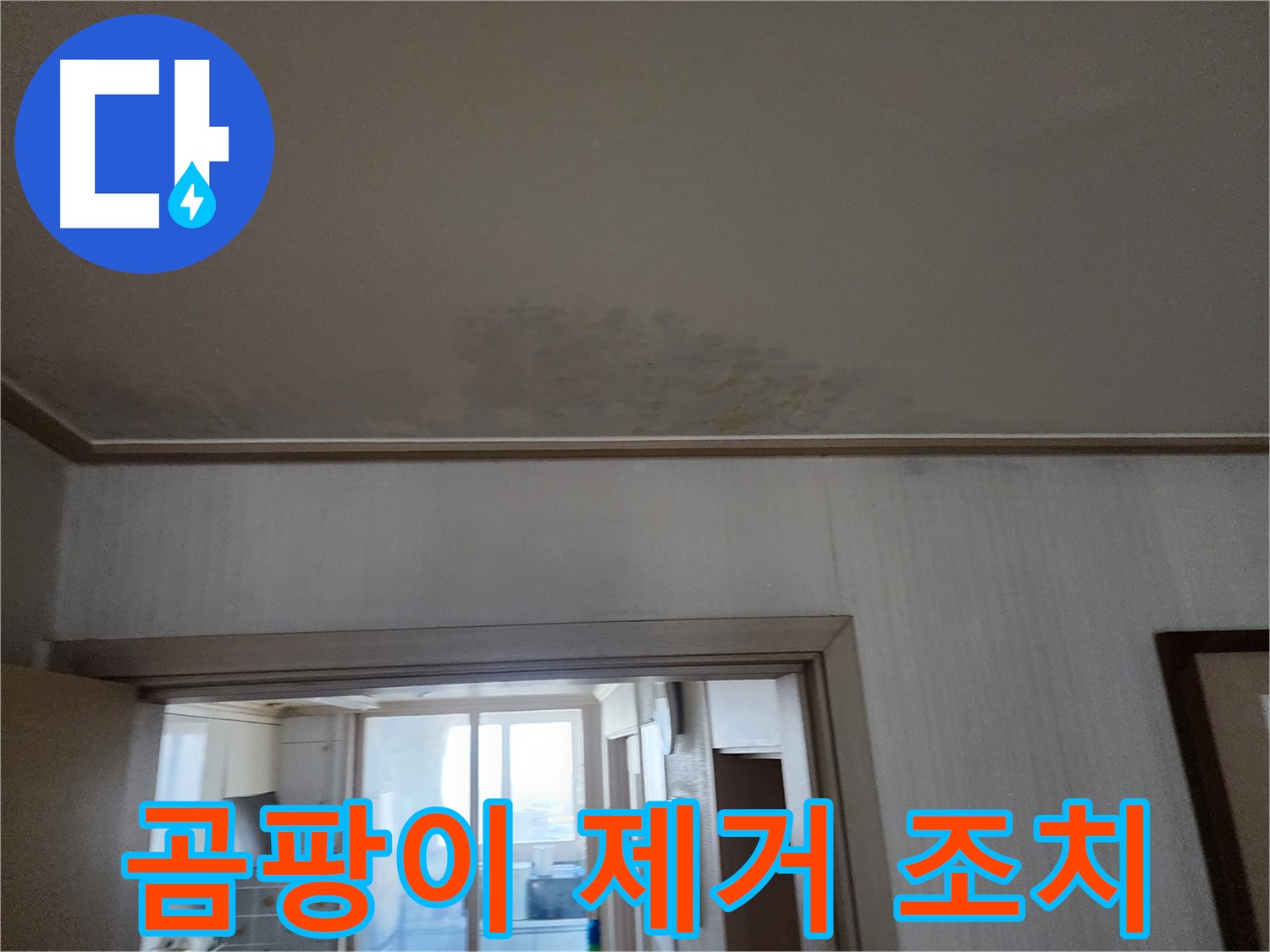 철산동 두산위브 아파트 천장 누수 진단 및 곰팡이 제거 조치 - 누수 전문가가 누수 상태를 진단하고 곰팡이 제거를 포함한 필요한 조치를 취합니다.