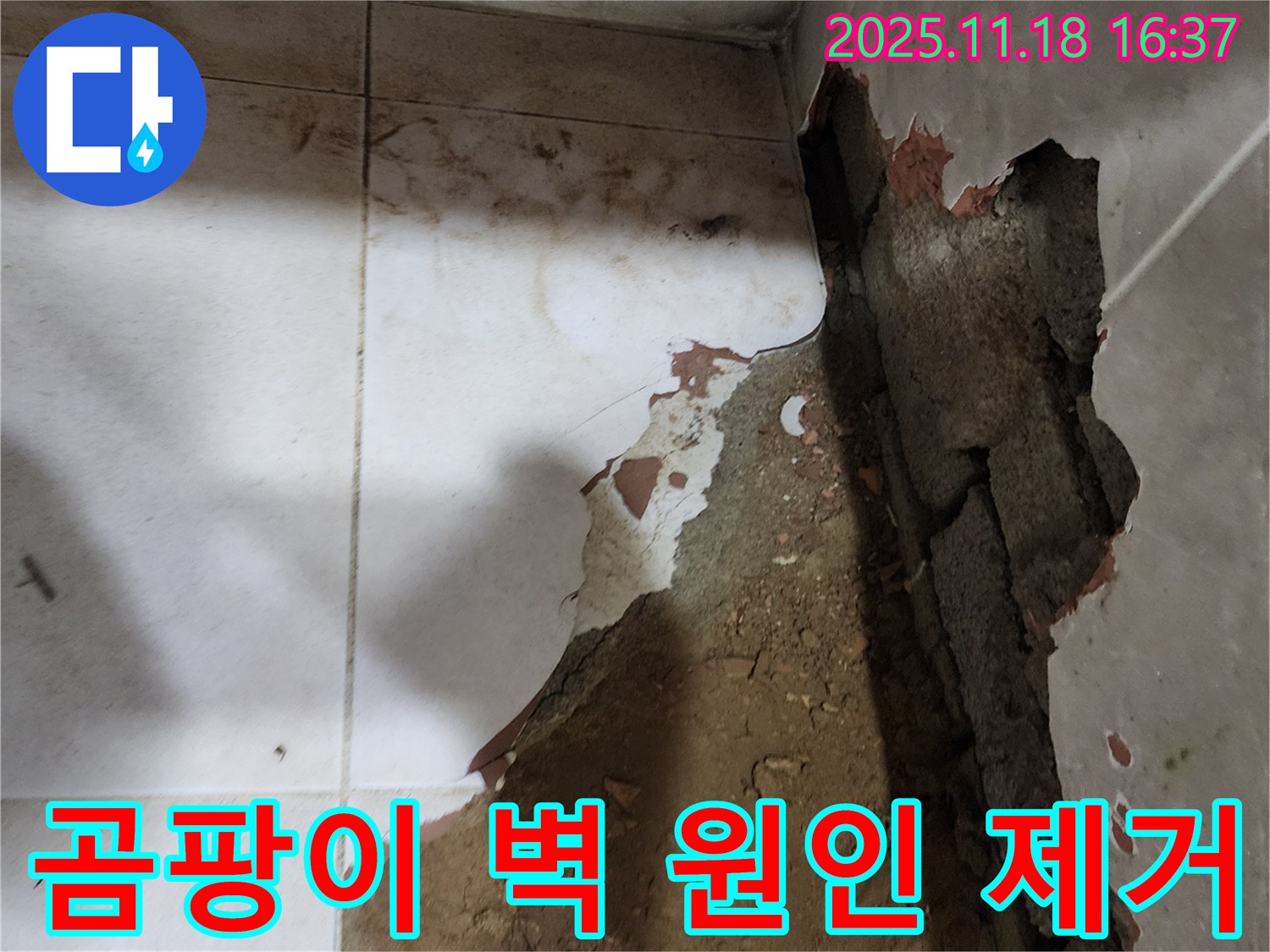 포천시 내촌면 소학리 누수 - 곰팡이가 핀 벽의 누수 원인부터 곰팡이 제거까지 완벽하게 해결했습니다!