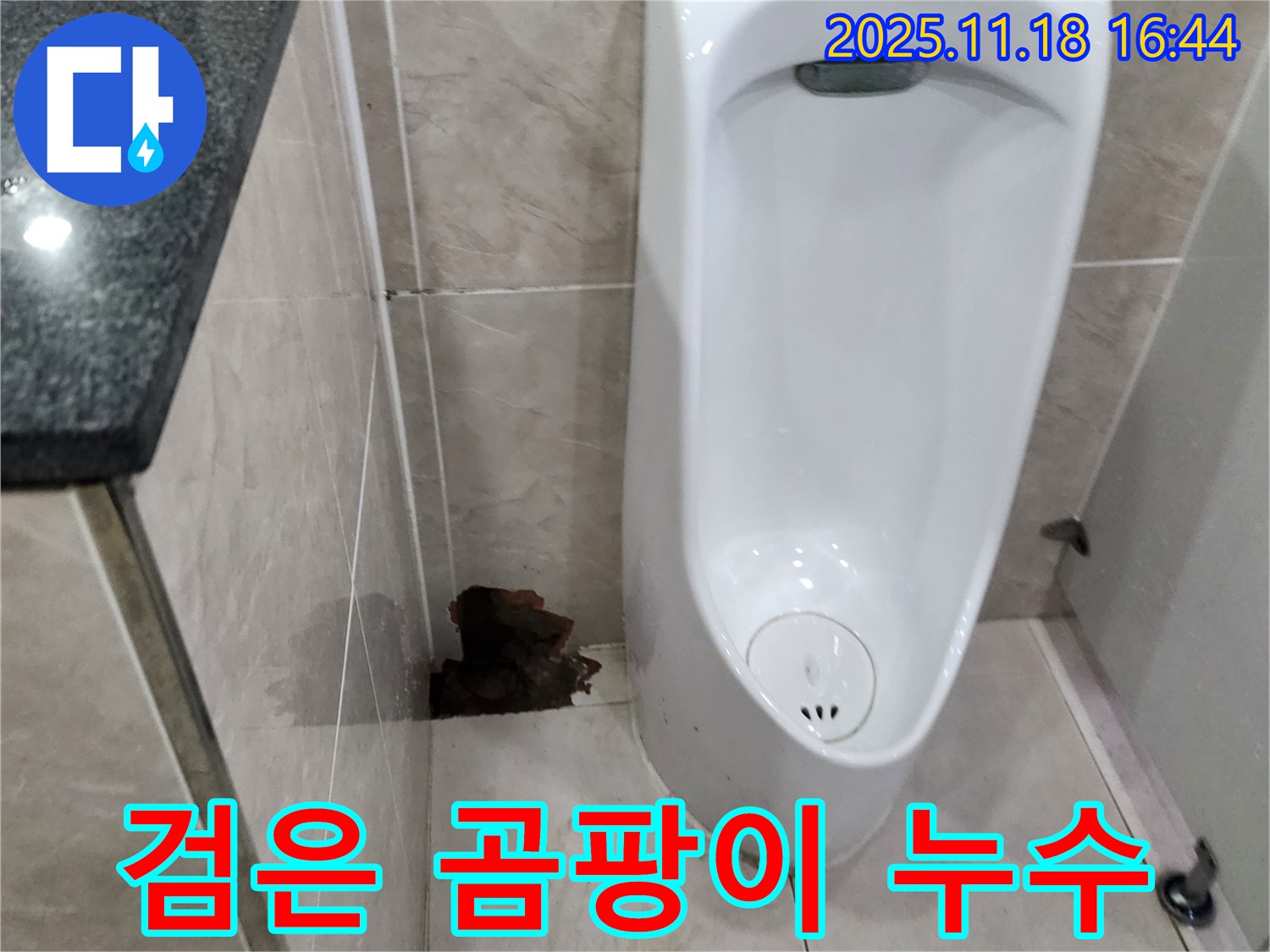 포천시 내촌면 소학리 소변기 누수 - 검은 곰팡이, 심각한 누수 의심