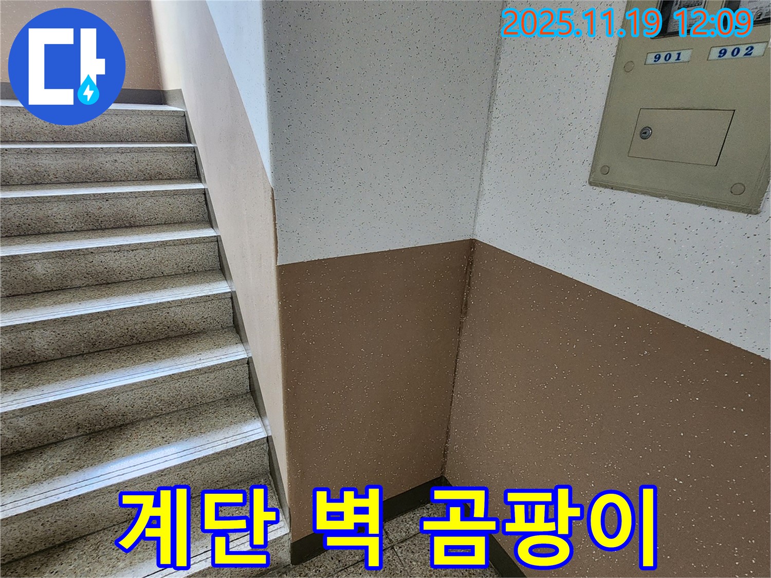 내촌면 마명리 아파트 계단 누수 - 벽 곰팡이, 건강에 적신호! 누수 해결이 시급