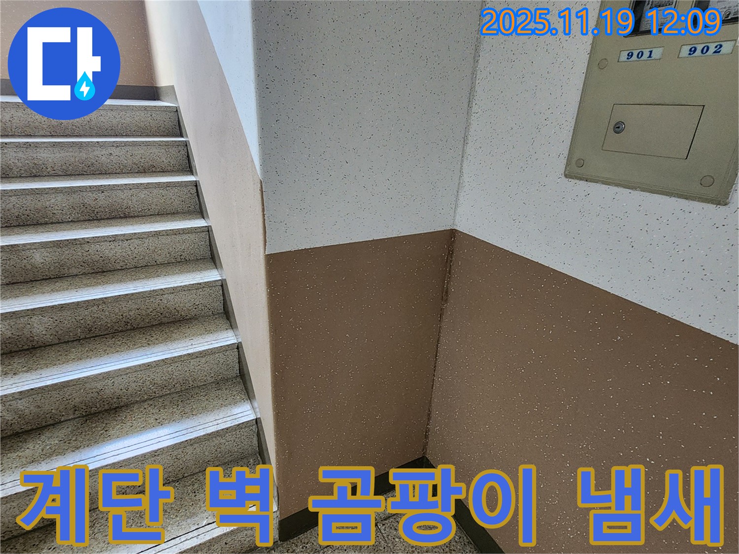 내촌면 마명리 아파트 누수 - 계단 벽 곰팡이, 곰팡이 냄새 제거 및 해결
