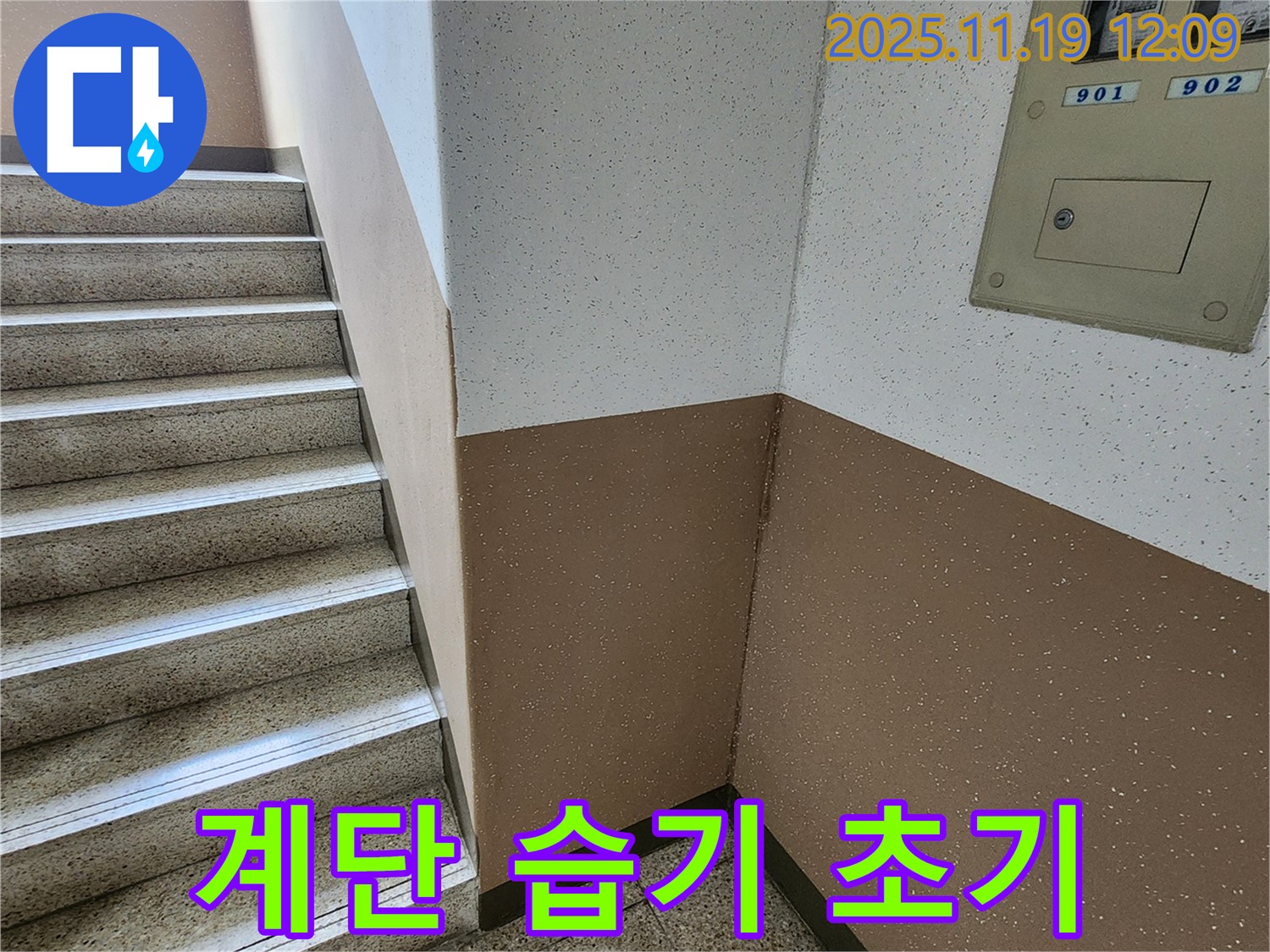 내촌면 마명리 아파트 누수 - 계단 습기, 누수 초기 진단의 중요성