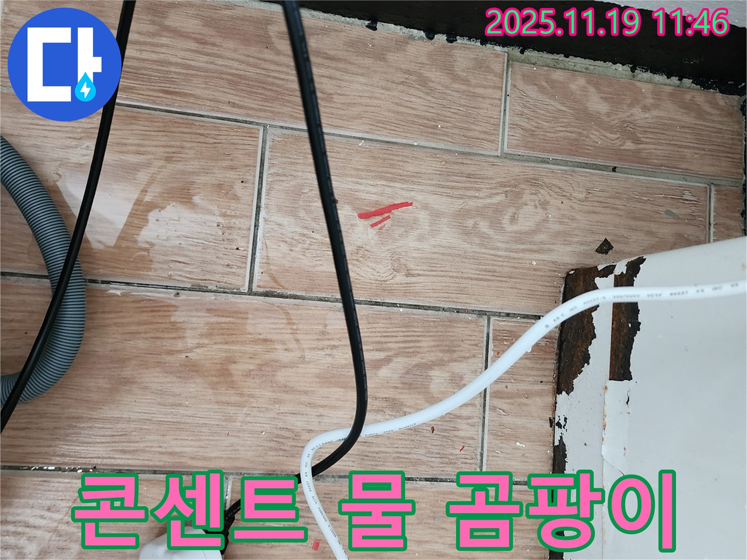 포천 누수 현장 - 콘센트 주변 물기와 곰팡이는 감전사고 위험을 높입니다 - 안전 점검이 필요합니다.