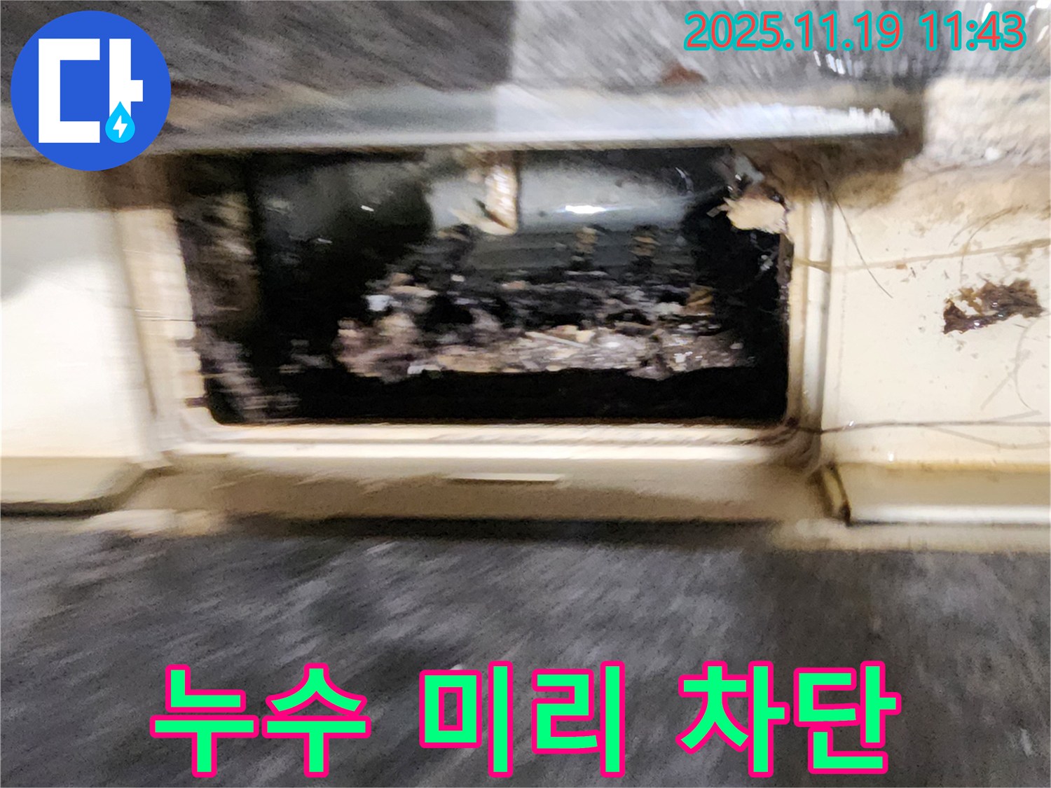 포천시 내촌면 마명리 누수 현장 - 꽉 막힌 배수구, 누수 발생 전에 미리미리 차단합니다.