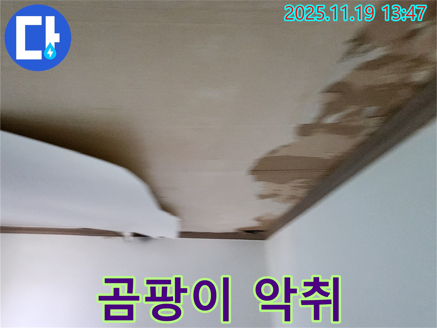 내촌면 내리 천장 - 곰팡이 핀 천장재와 함께 악취 발생