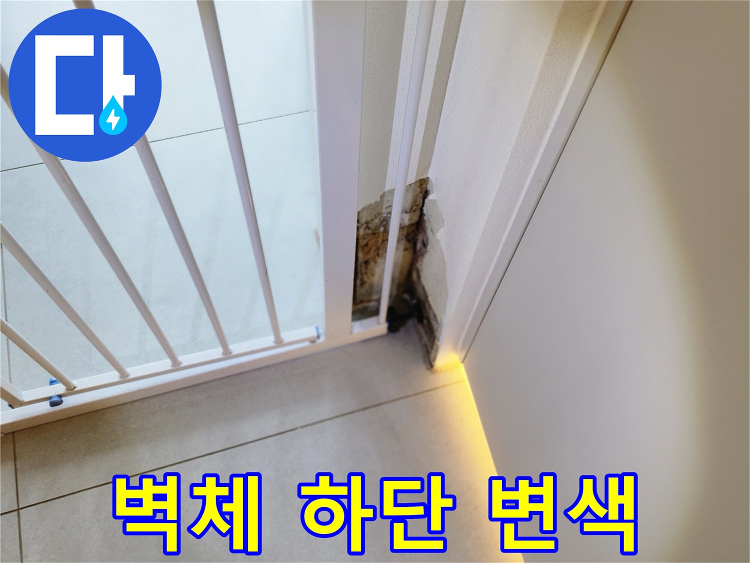 내촌면 누수 현장-곰팡이가 발생한 벽면과 바닥 접합부