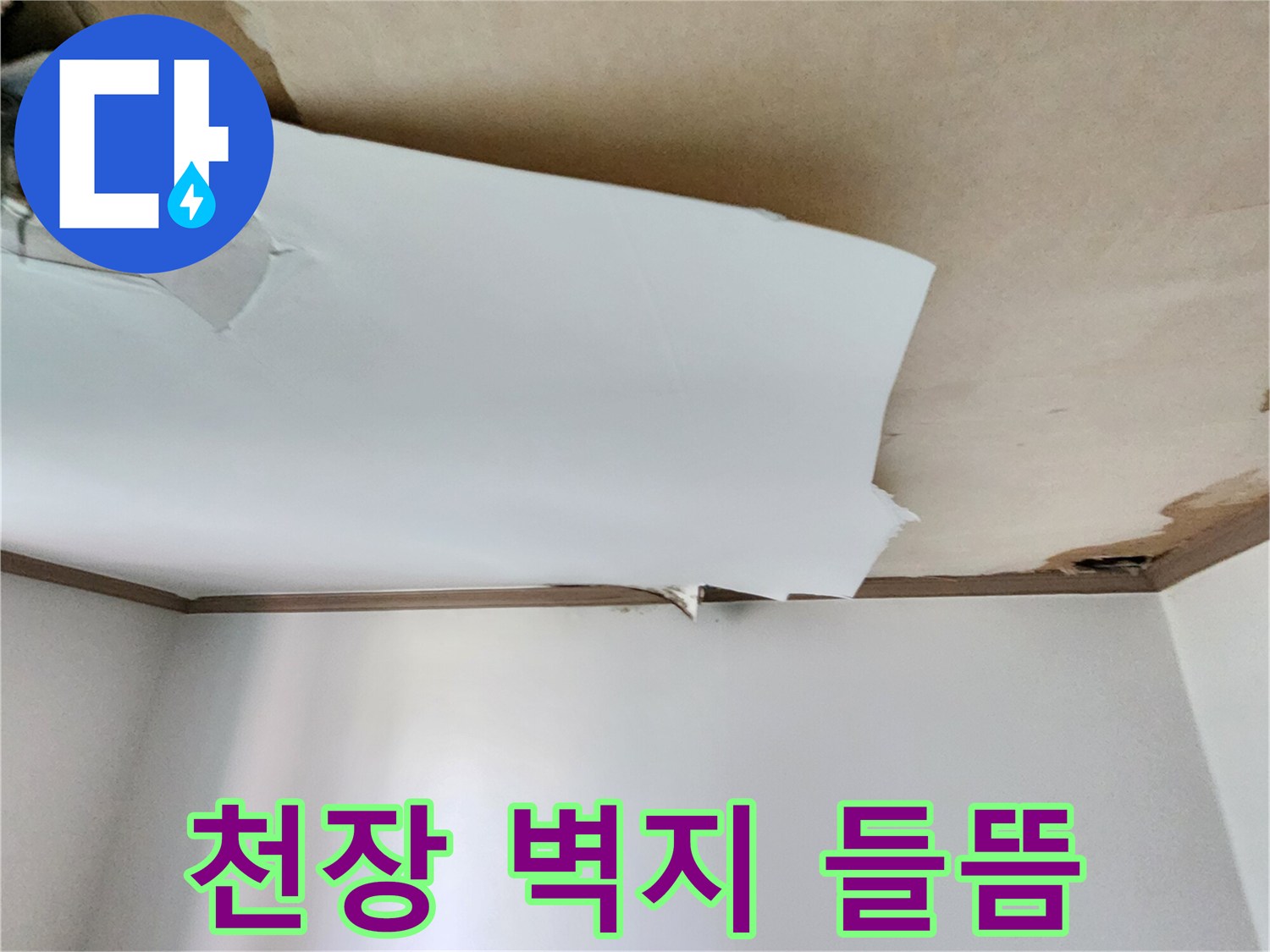 누수로-부풀어-올라-분리된-천장-도배재