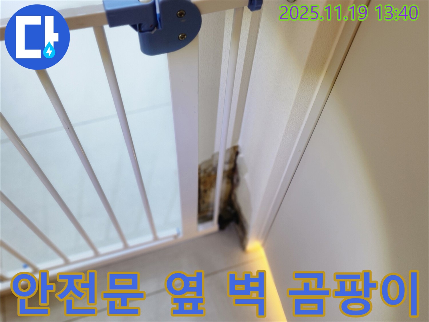안전 문 옆 벽면 하단에 곰팡이가 심하게 발생한 모습 - 최신 누수 탐지 장비 사용