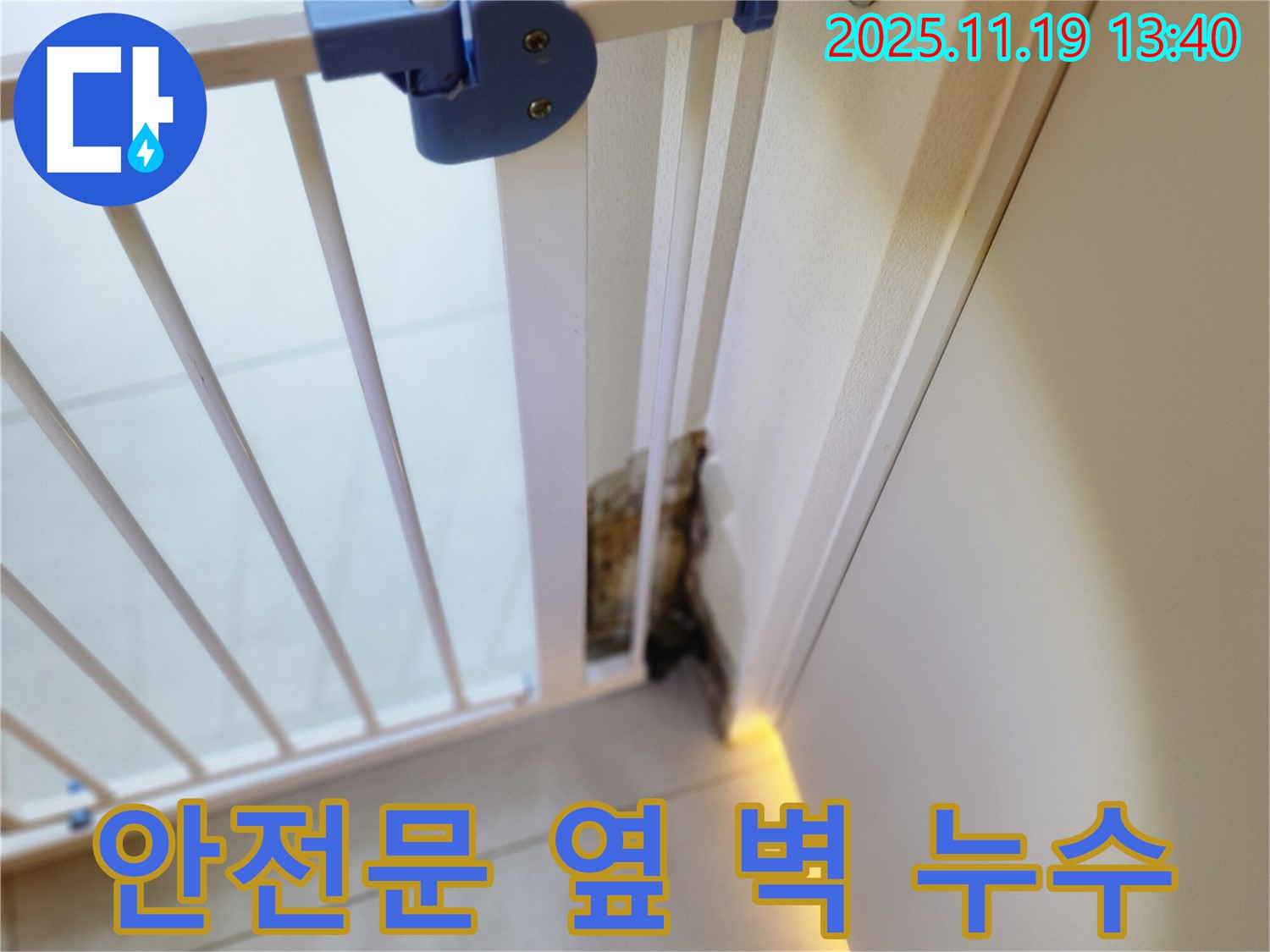 안전 문 옆 벽에 곰팡이가 핀 모습 - 곰팡이 싹쓸이 - 완벽 제거를 약속합니다.