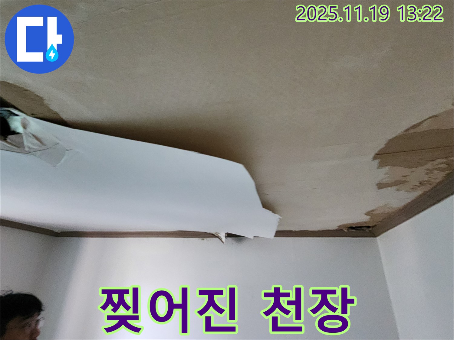 찢어진 천장 - 신속한 누수 탐지 및 완벽한 천장 보수 작업 진행