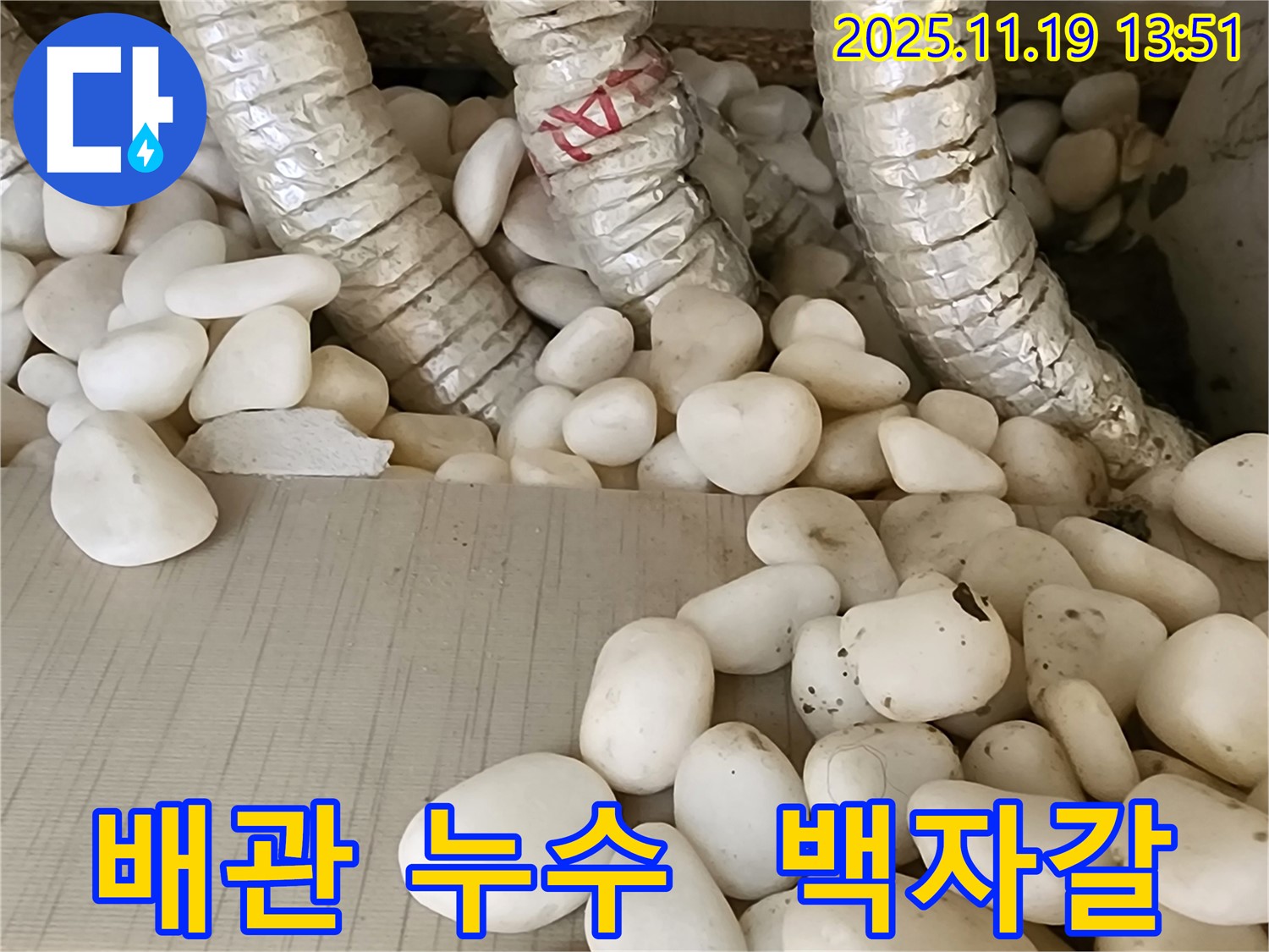 포천 내촌면 누수 - 백자갈 속에 숨겨진 배관 누수를 찾아 완벽하게 해결했습니다.