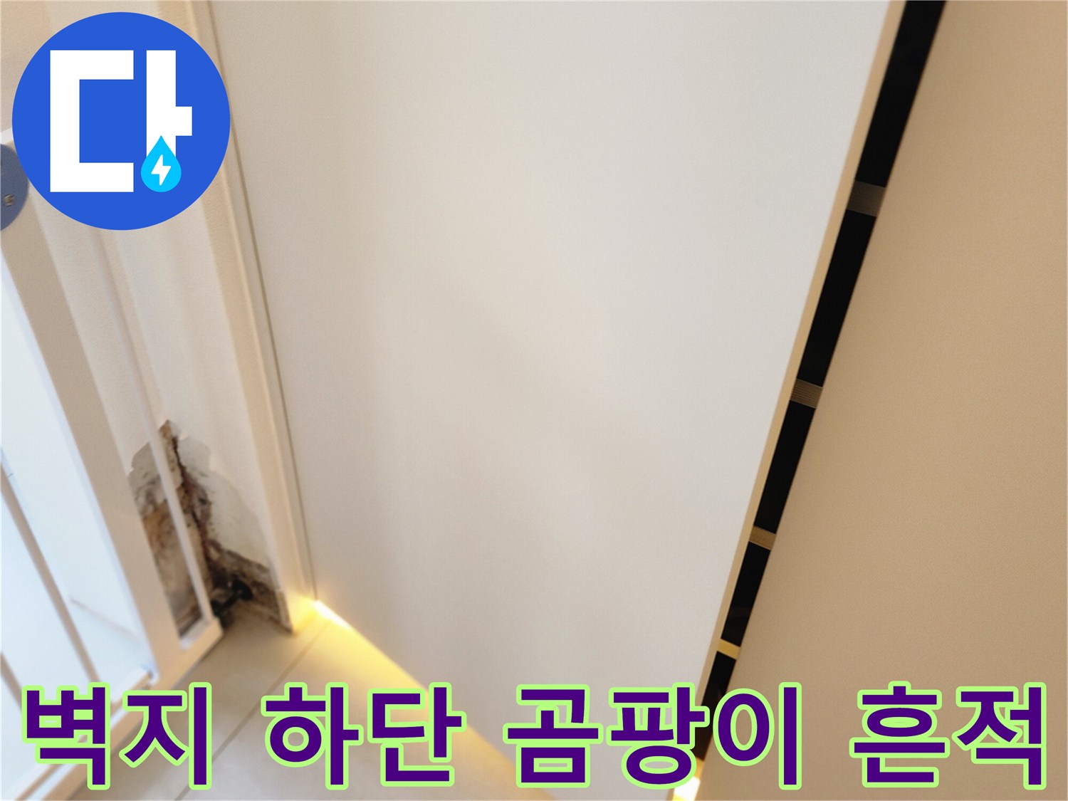 포천 내촌면 현장-벽지 하단에 발생한 검은색 곰팡이와 변색 부위