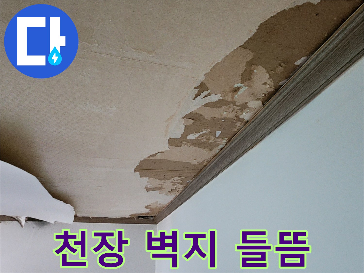 포천 내촌면 현장의 천장 도배지가 물기에 젖어 들떠 있는 모습입니다.