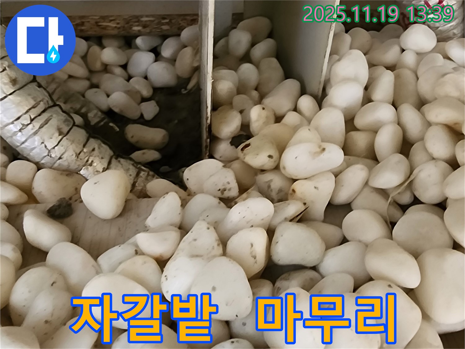 포천시 내촌 누수 - 자갈밭 아래 숨겨진 누수, 완벽하게 해결하고 완벽한 마무리까지!