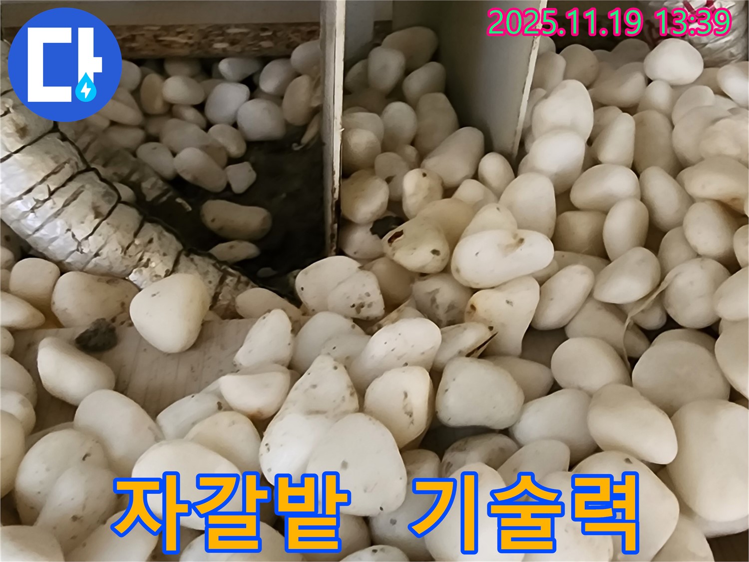 포천시 내촌면 누수 - 자갈밭 아래 숨겨진 누수, 완벽한 기술력으로 누수 해결!