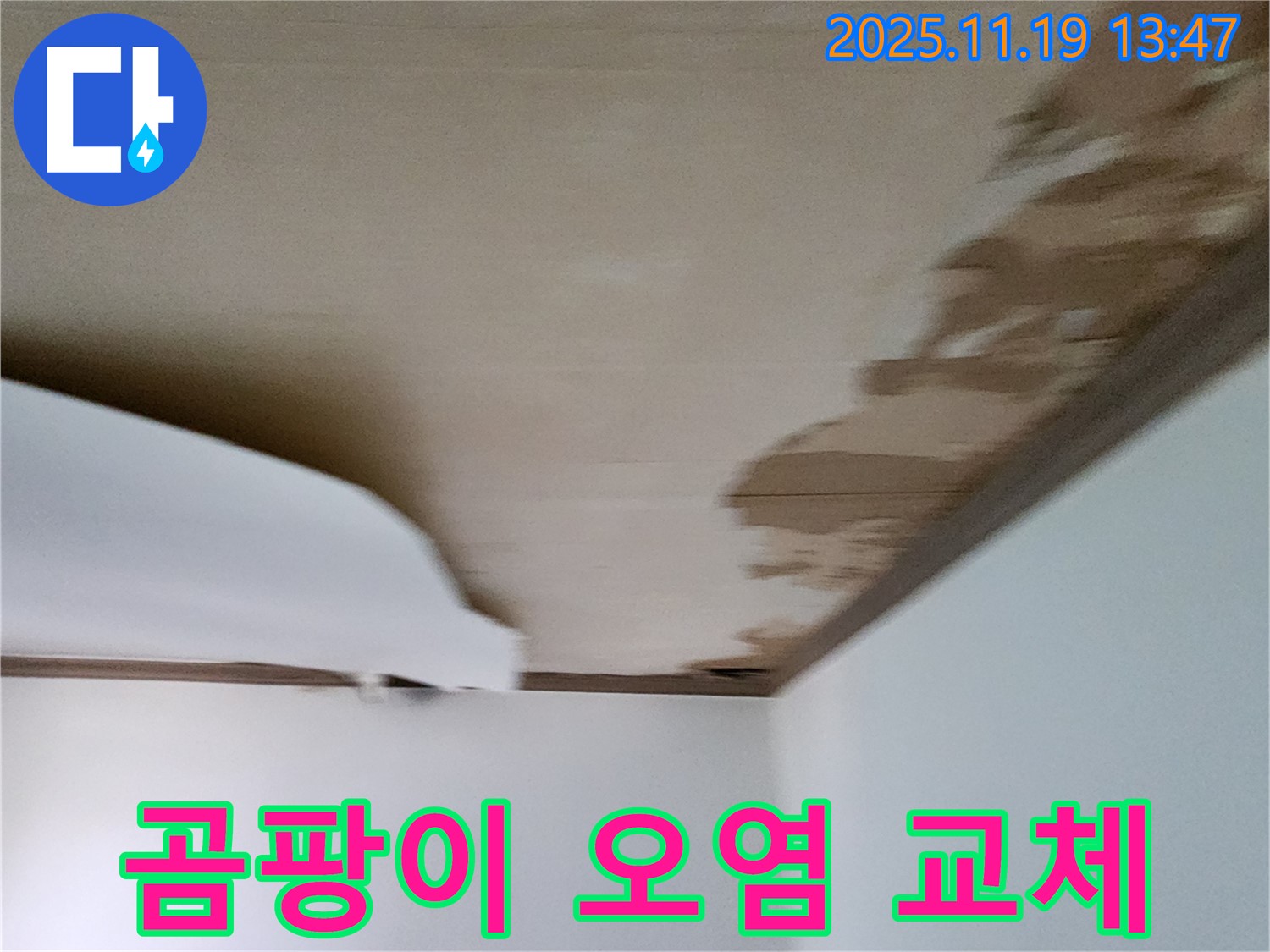 포천시 내촌면 음현리 주택 천장 - 곰팡이 오염된 마감재 교체