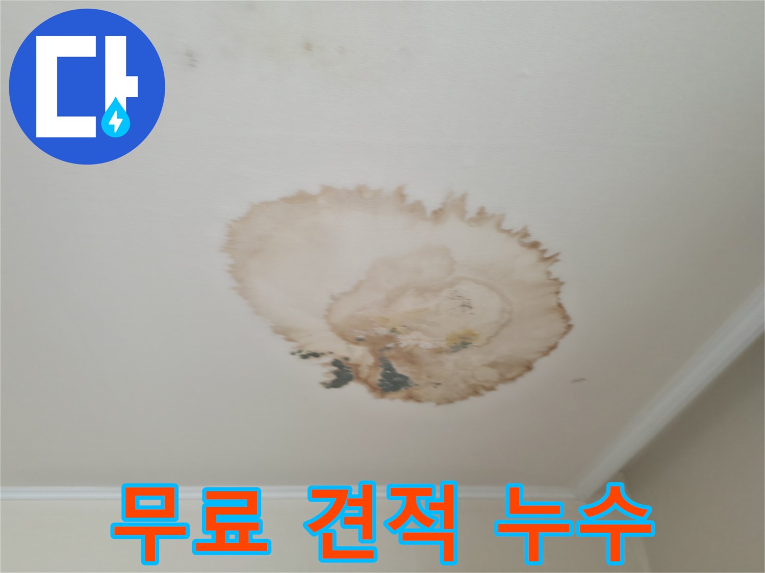 무료 견적 상담 - 천장 누수 해결 - 서대문구 누수