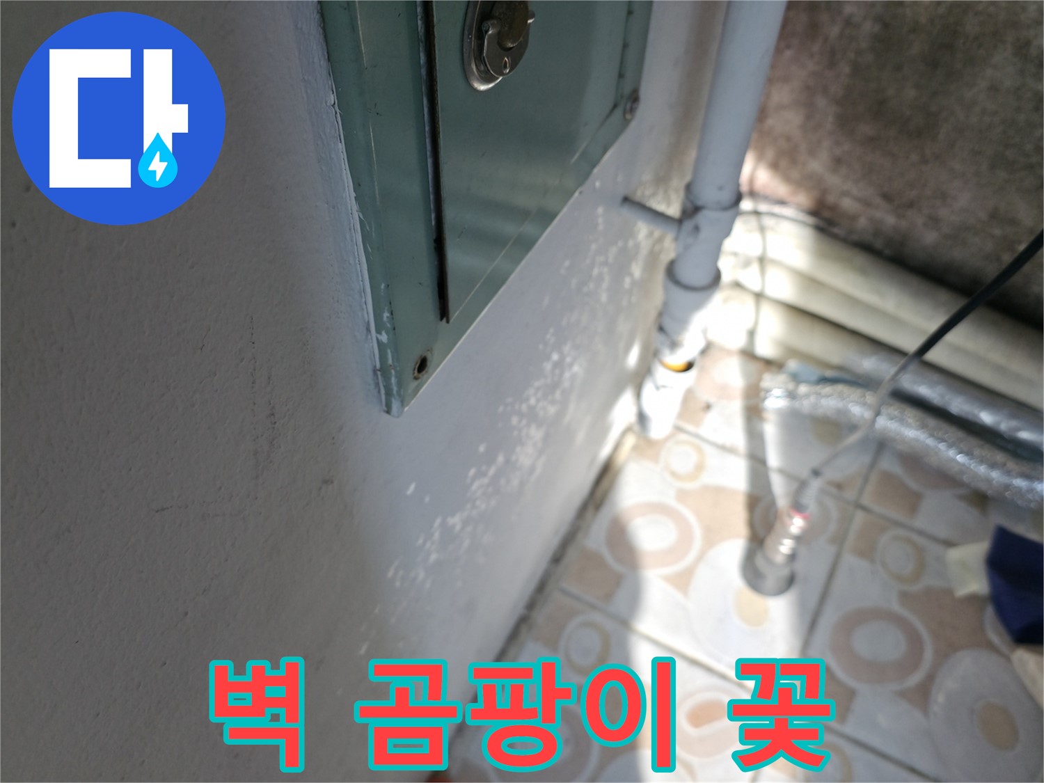 벽에 곰팡이 꽃이 피었나요? - 서대문구 세검정 곰팡이 제거 전문 업체입니다.