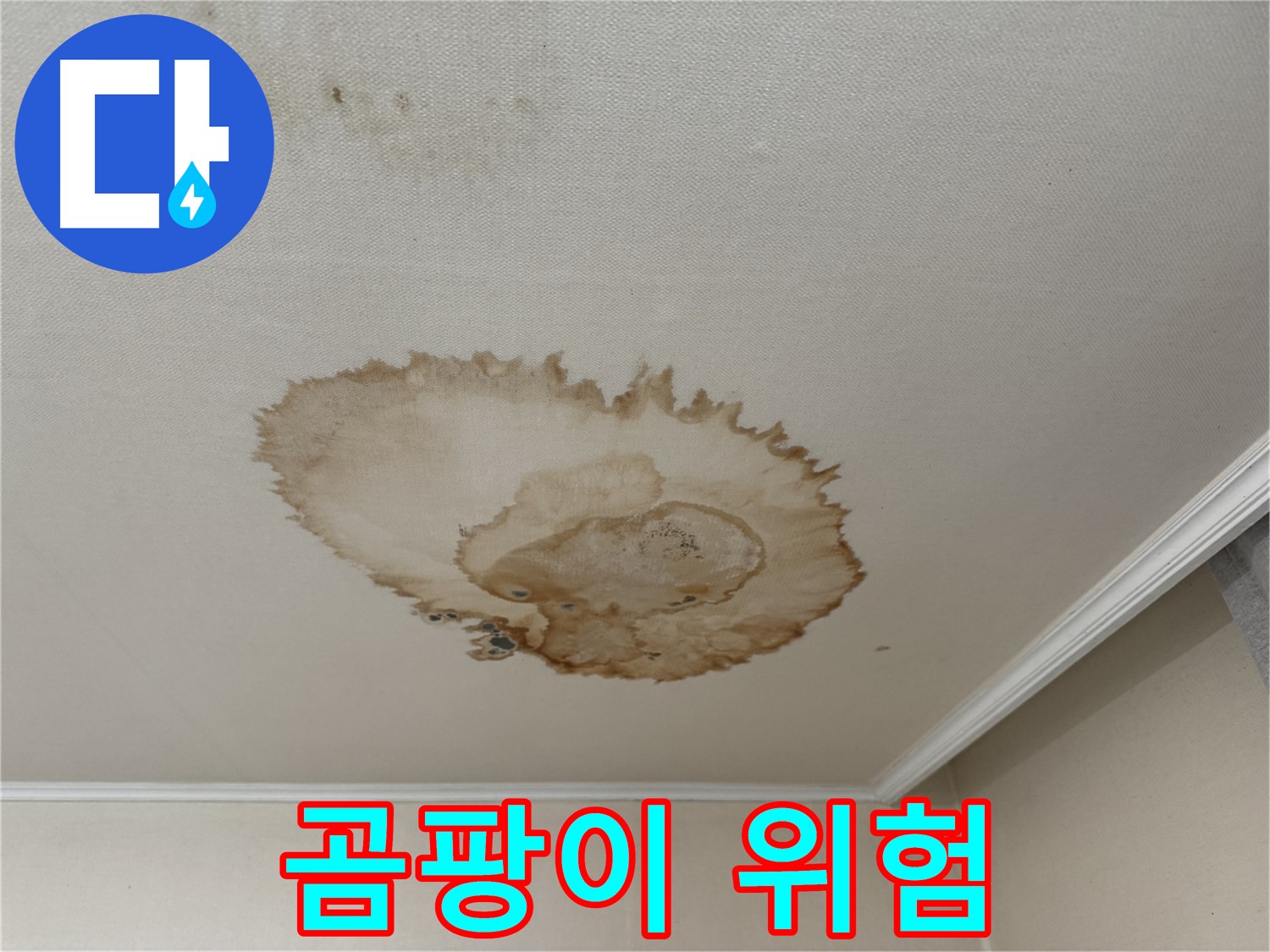 서대문구 세검정로 누수 - 곰팡이 발생 위험-빠른 조치 필요