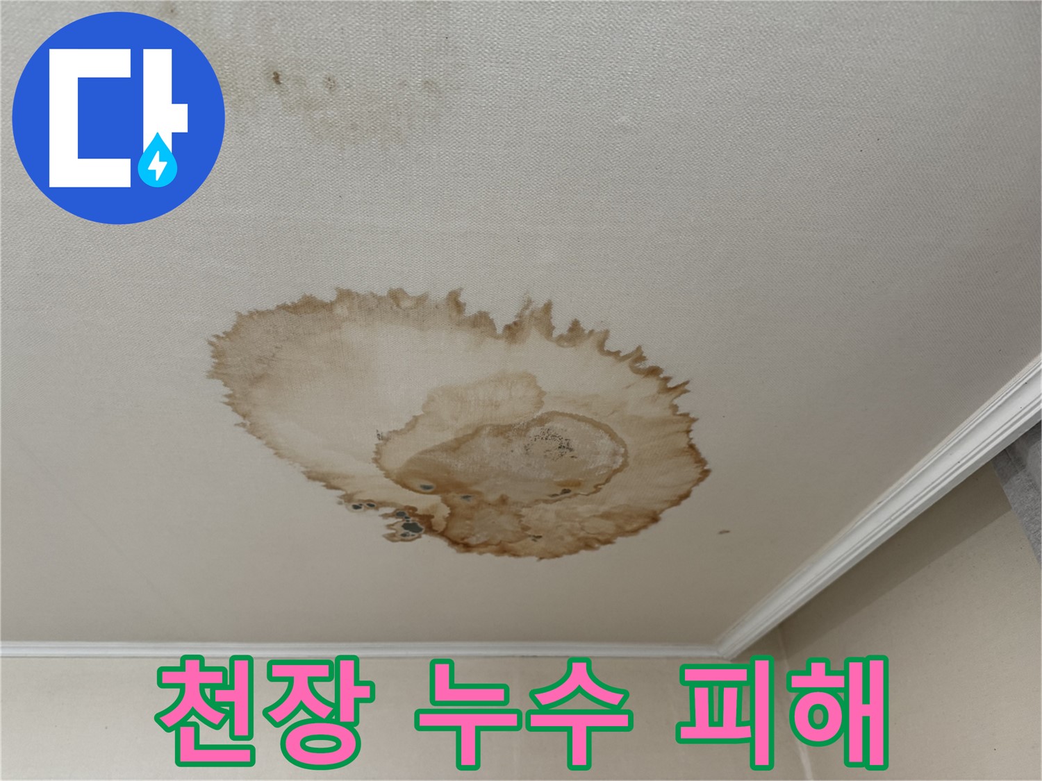 서대문구 세검정로에서 발생한 천장 누수 피해 - 훼손된 천장 마감재와 곰팡이를 보여주는 사진