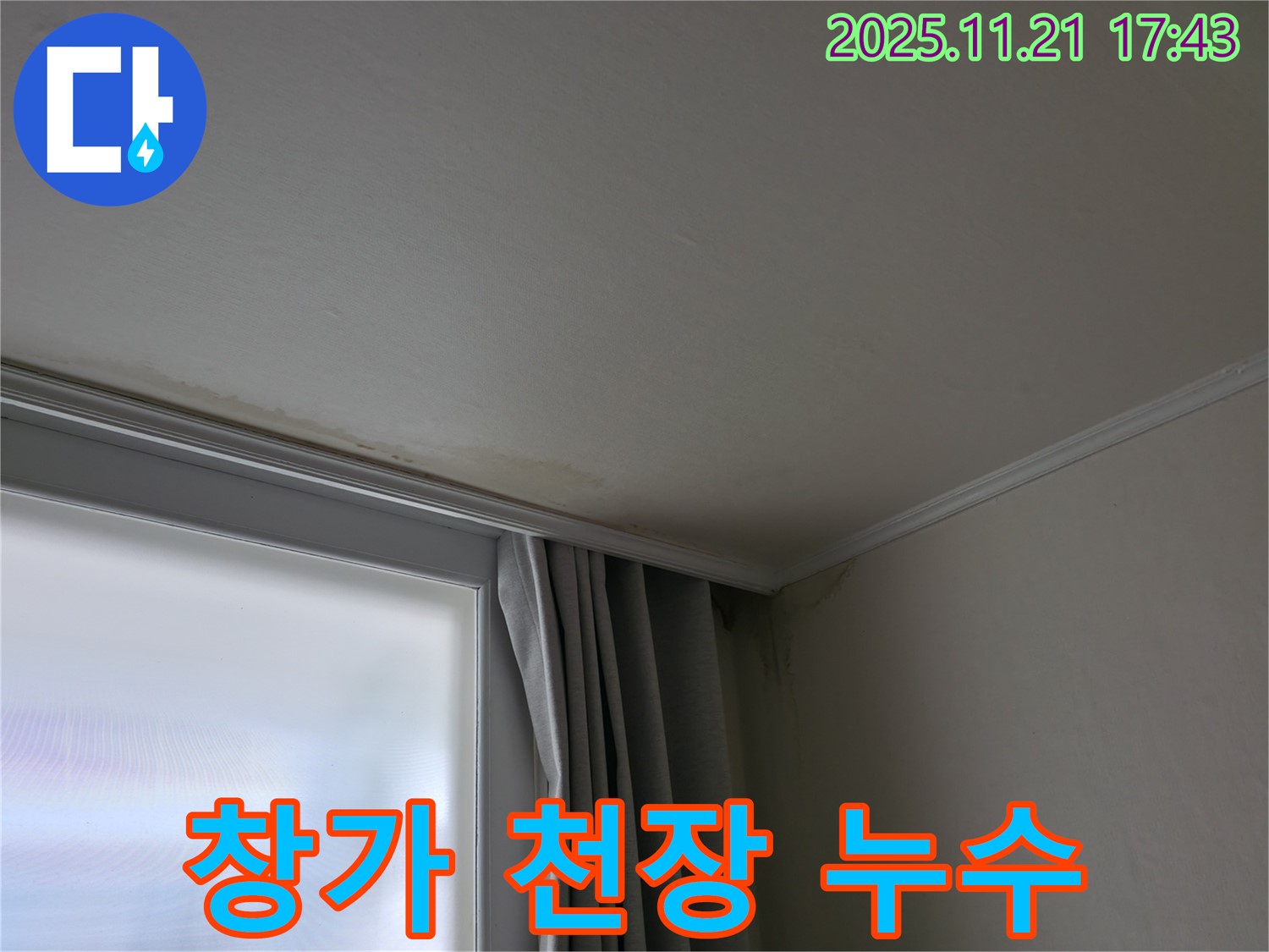 서대문구 창가 천장 누수 - 곰팡이 발생 전 - 초기 조치
