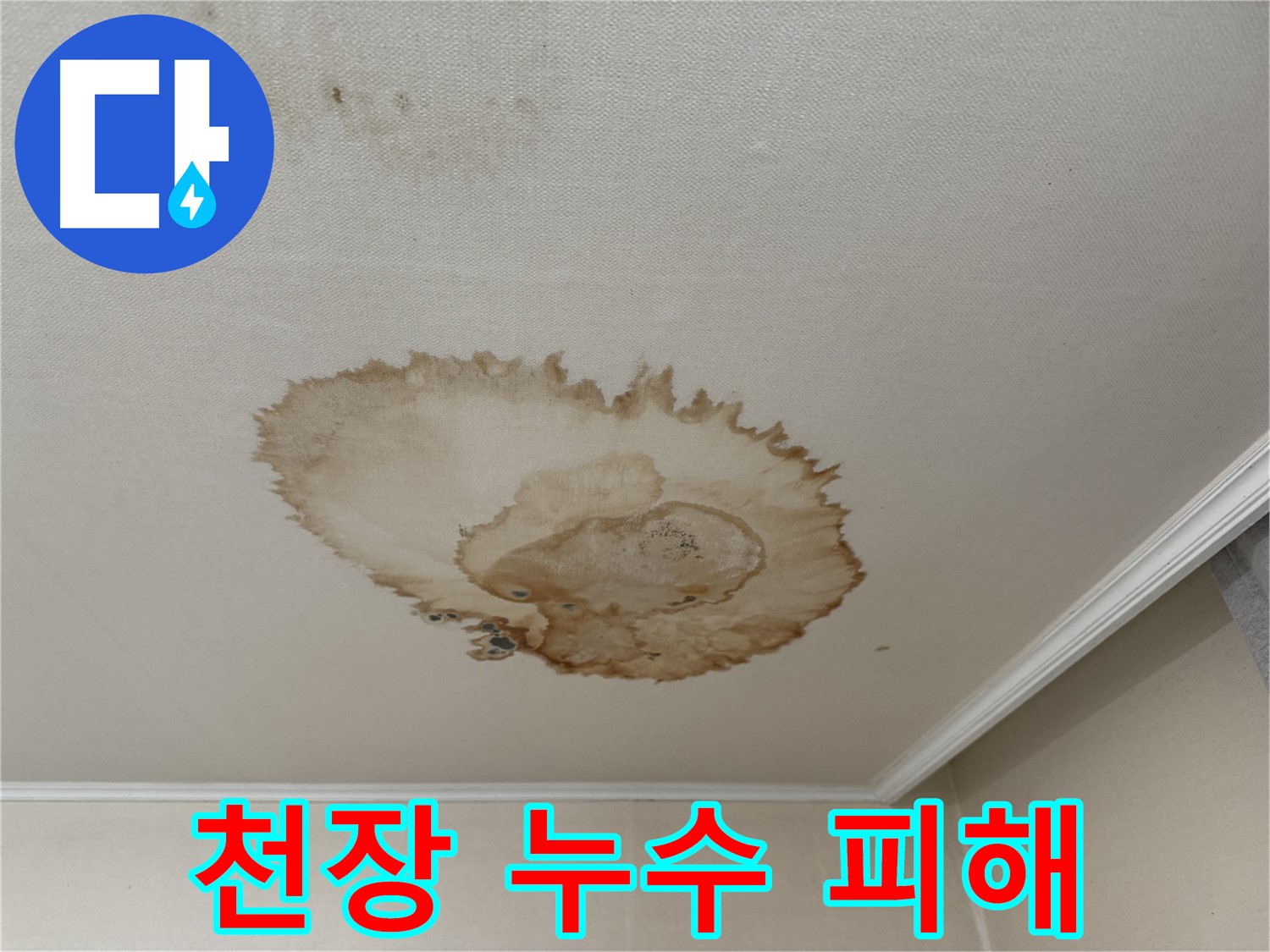 서대문구 홍제동 누수 - 천장 마감재 손상