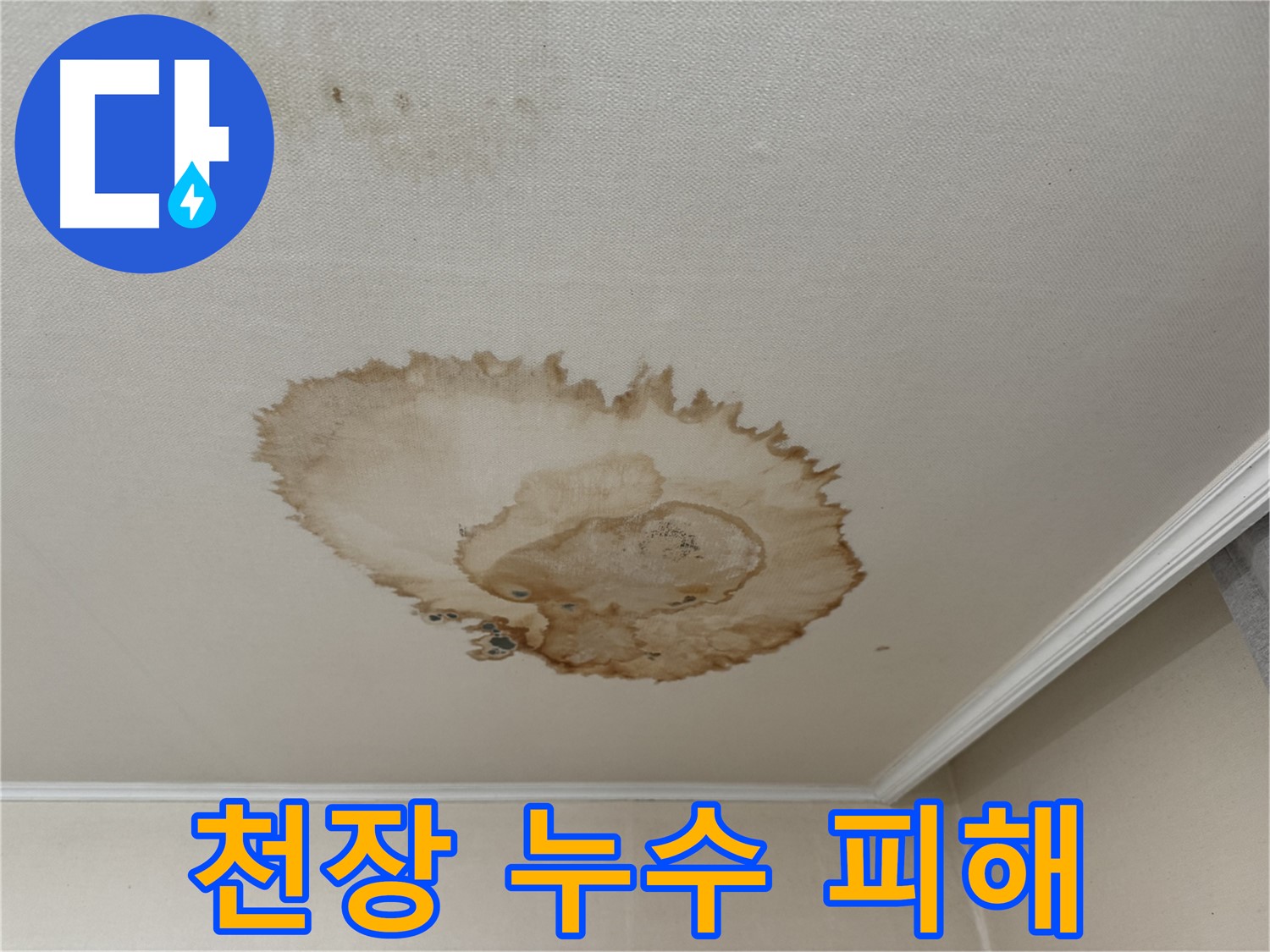 세검정로에서 발생한 천장 누수 피해 - 곰팡이가 심하게 핀 천장과 손상된 벽지를 보여주는 사진