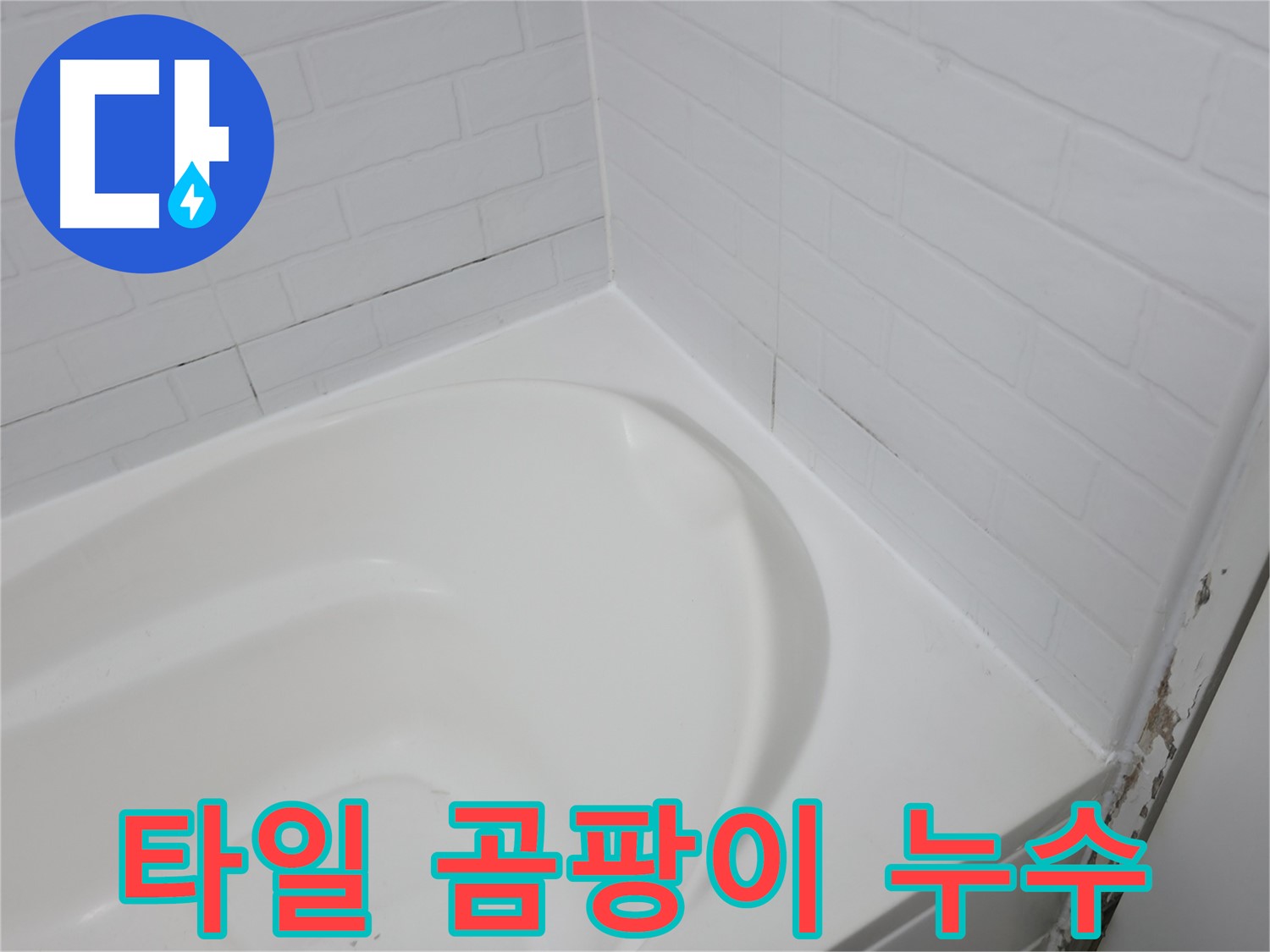 욕조 타일 - 곰팡이와 누수의 흔적