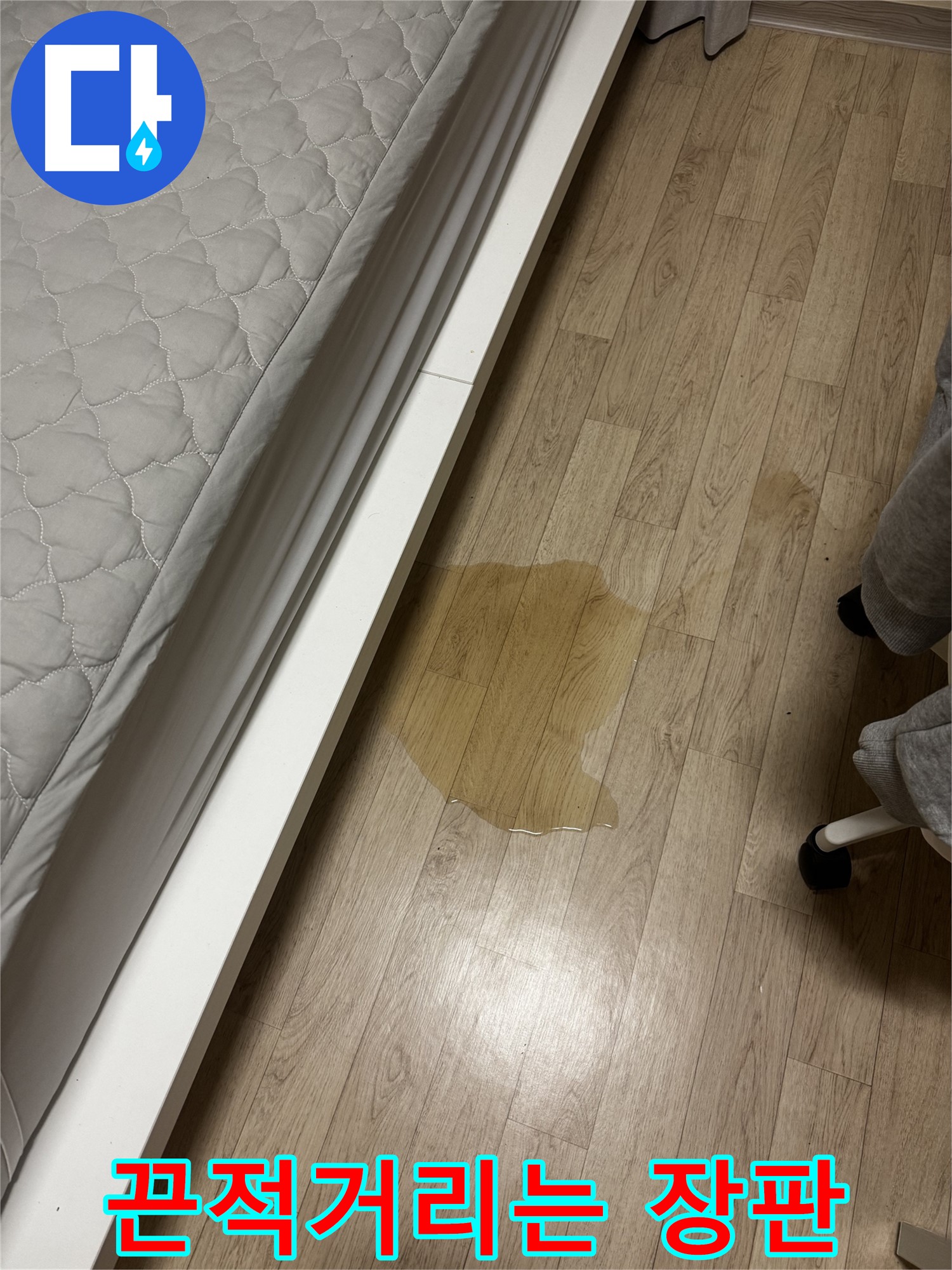 장판이 젖어 끈적거리는 모습 - 습기 제거와 누수 점검이 필요합니다.