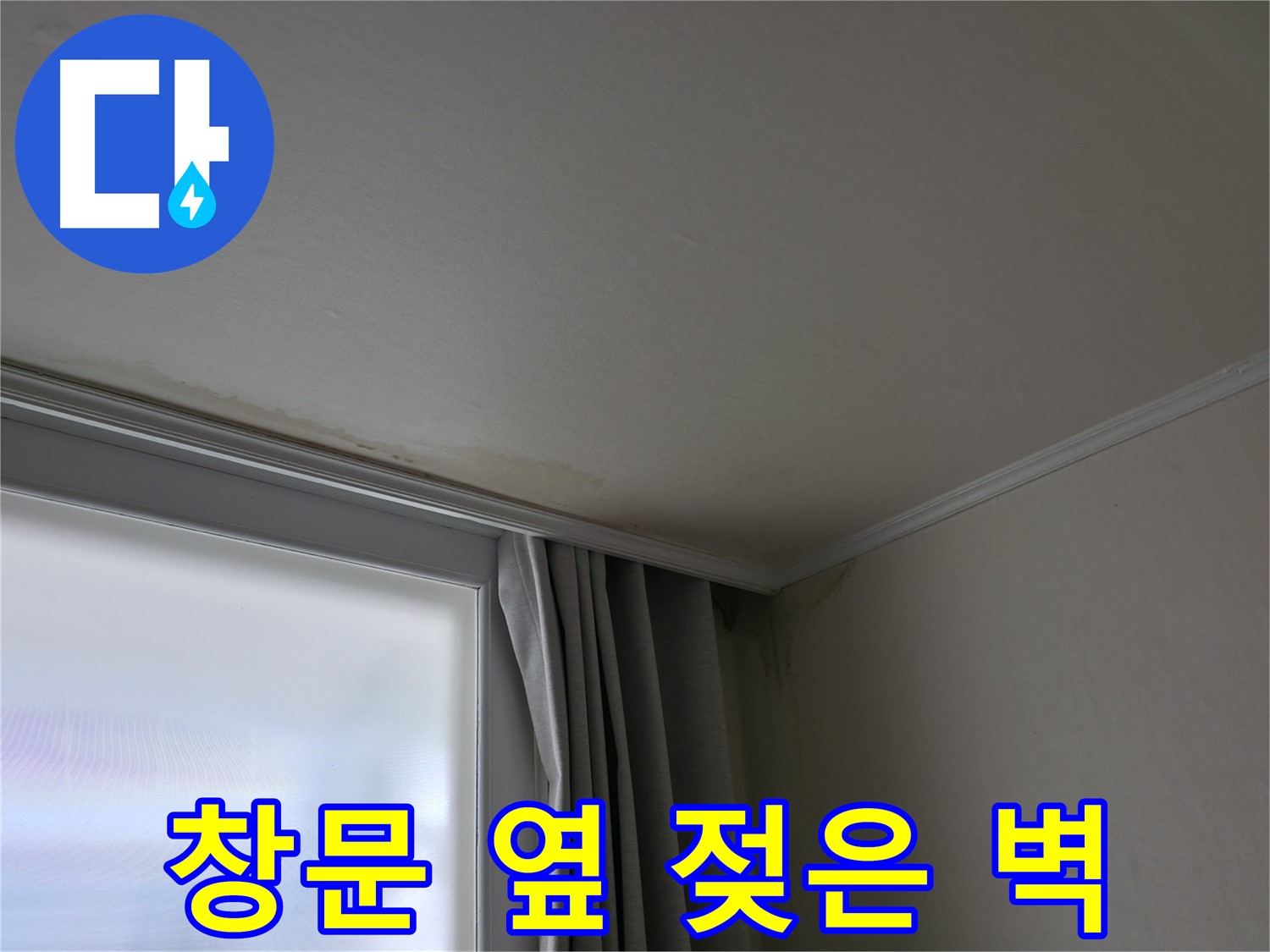 창문 옆 젖은 벽 - 곰팡이 발생 전 누수 진단