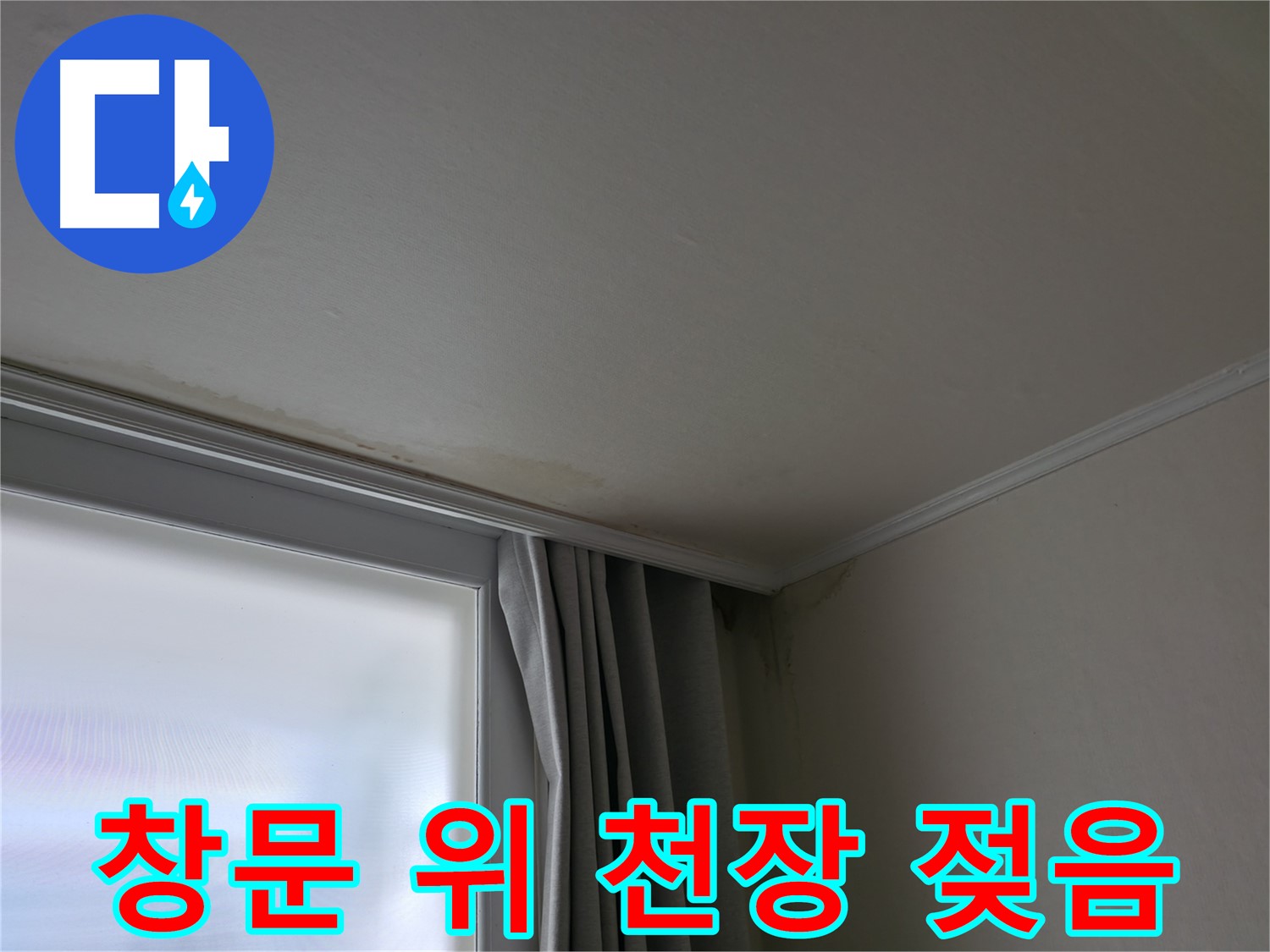 창문 위 천장 젖음 - 긴급 누수 진단 필요
