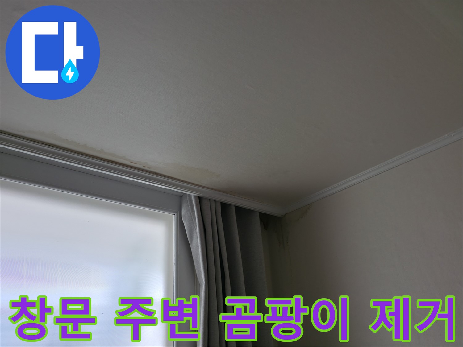창문 주변 곰팡이 - 곰팡이 제거 및 재발 방지