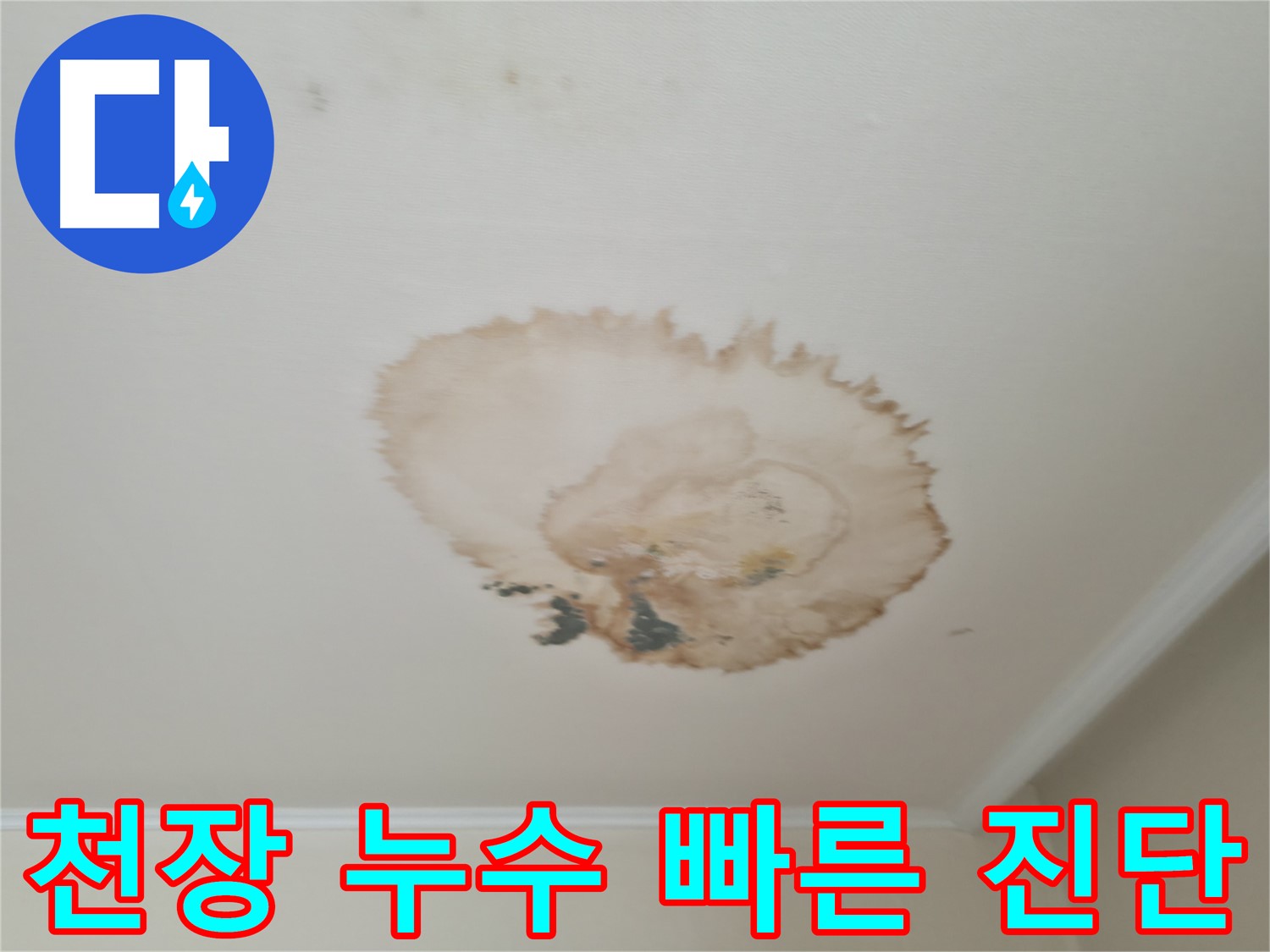 천장 누수 - 빠른 진단 - 서대문구 북가좌동 누수