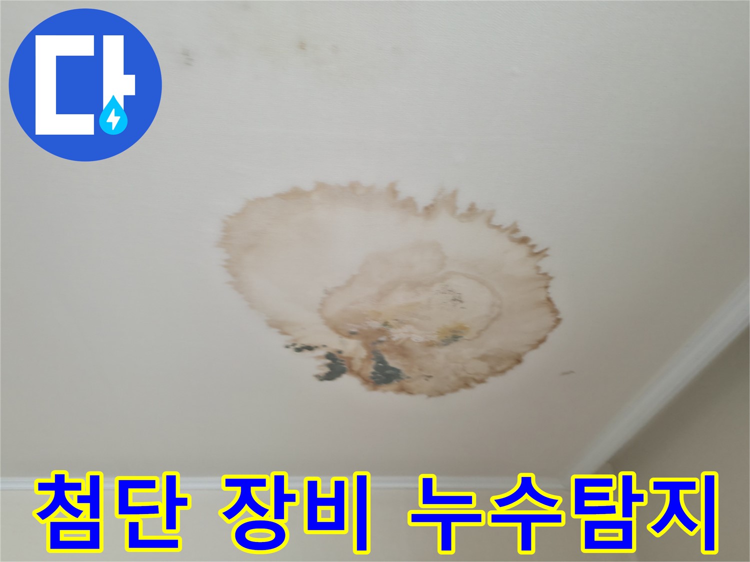첨단 장비 - 정확한 누수 위치 탐지 - 서대문구 세검정로