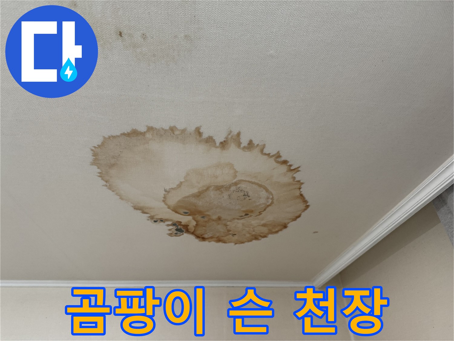 홍제동 누수 - 곰팡이 슨 천장 - 누수 해결 전문가