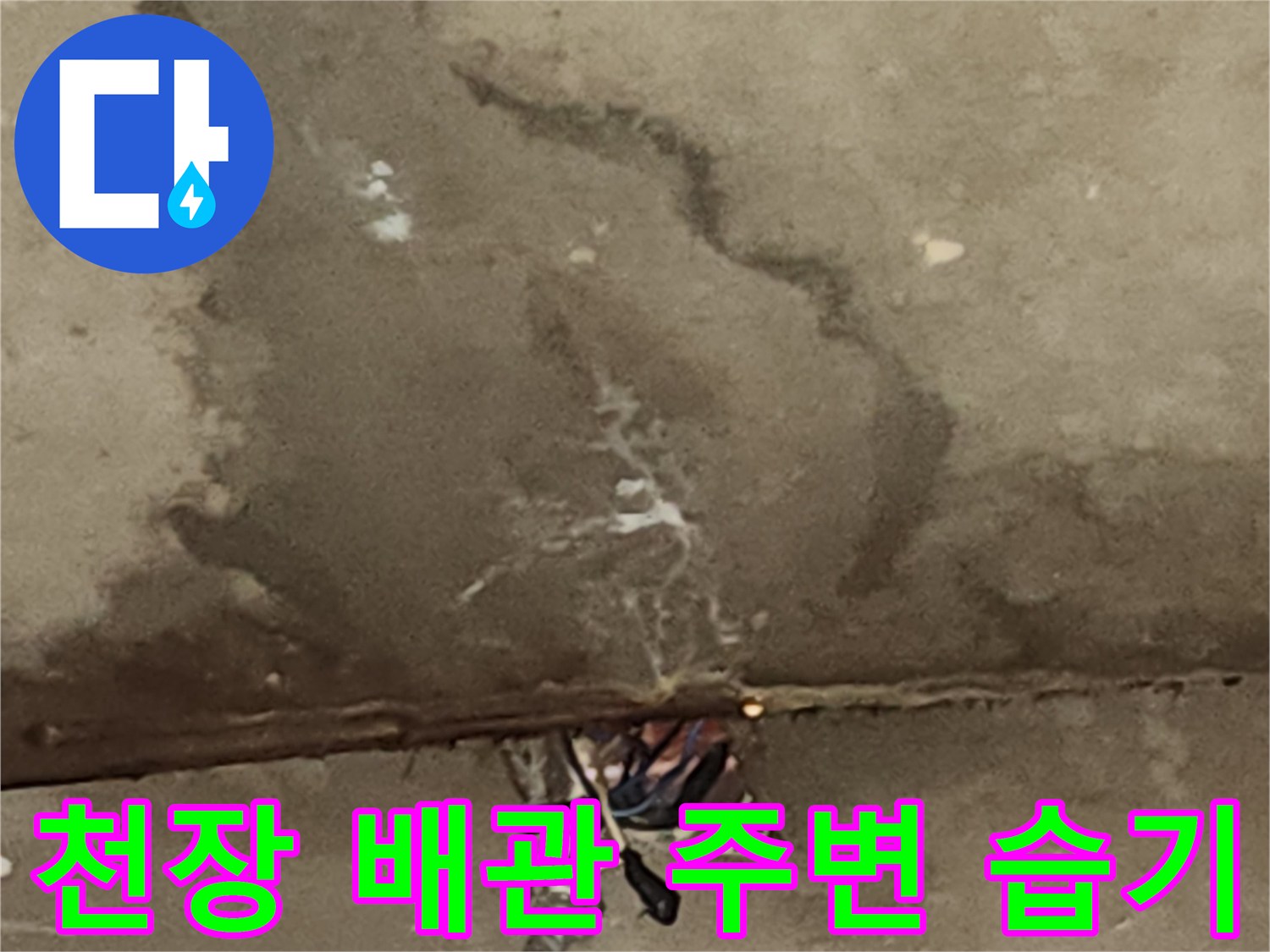 천장-내부-배관-주변-콘크리트-습윤-상태