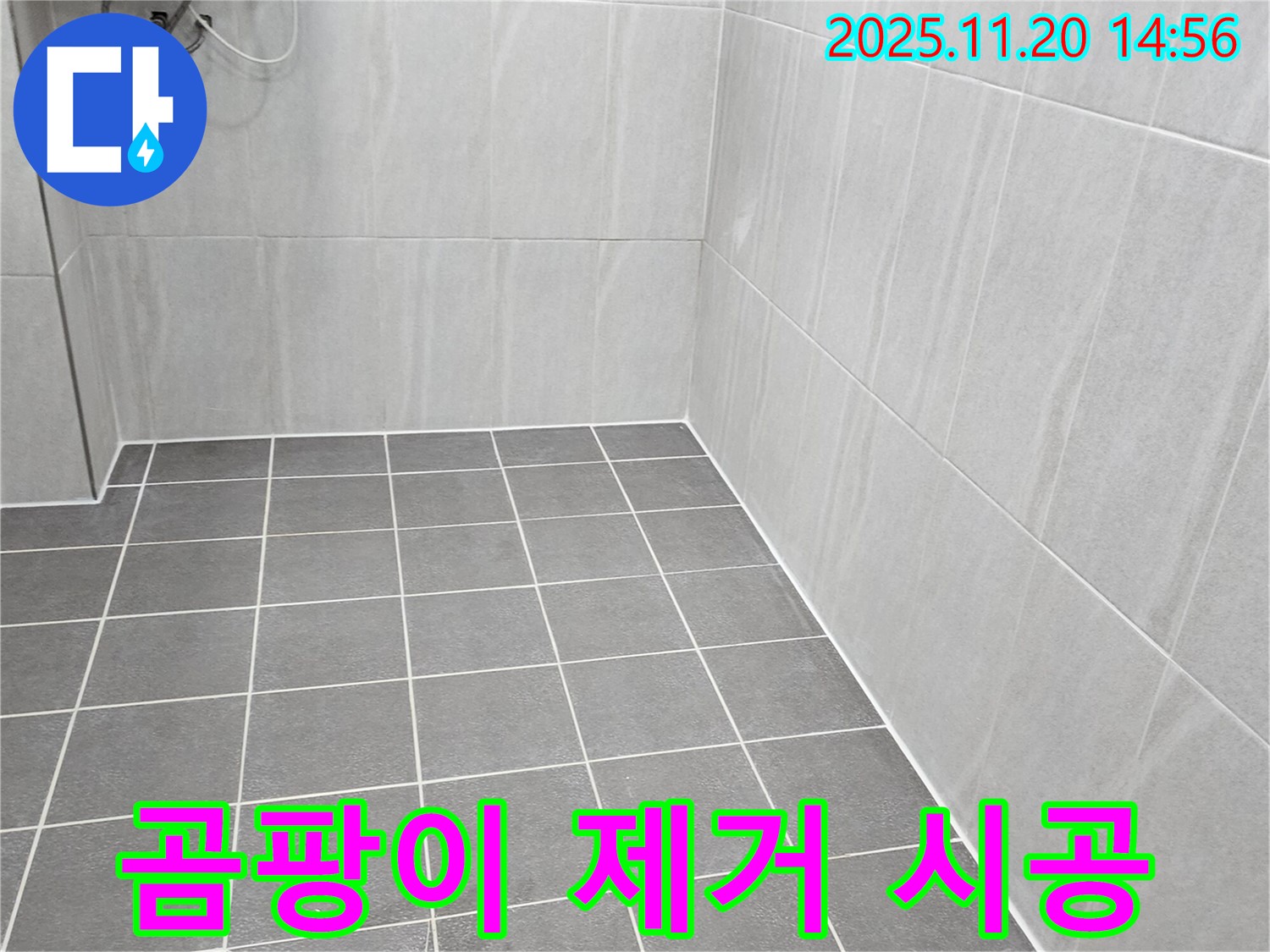 가산면 마산리 누수 - 욕실 벽면 타일 곰팡이, 꼼꼼하게 제거하고 환기의 중요성 강조